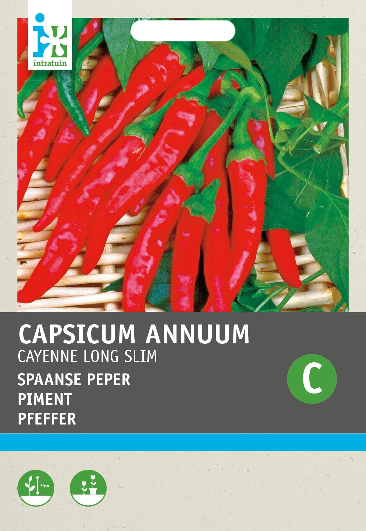 Intratuin groentezaad Peper Cayenne rood (Capsicum Annuum 'Spaanse Lange Rode')