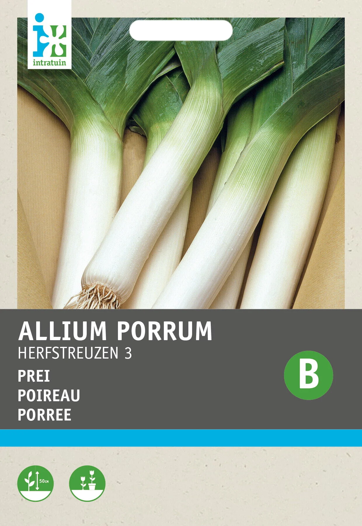 Intratuin groentezaad Prei (Allium porrum 'Herfstreuzen')
