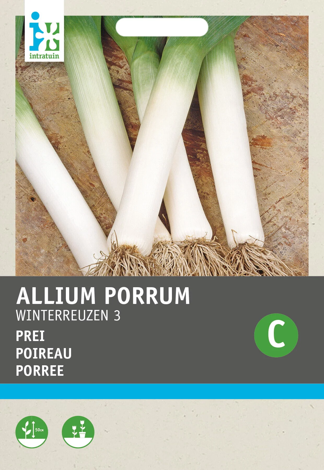 Intratuin groentezaad Prei (Allium porrum 'Winterreuzen')