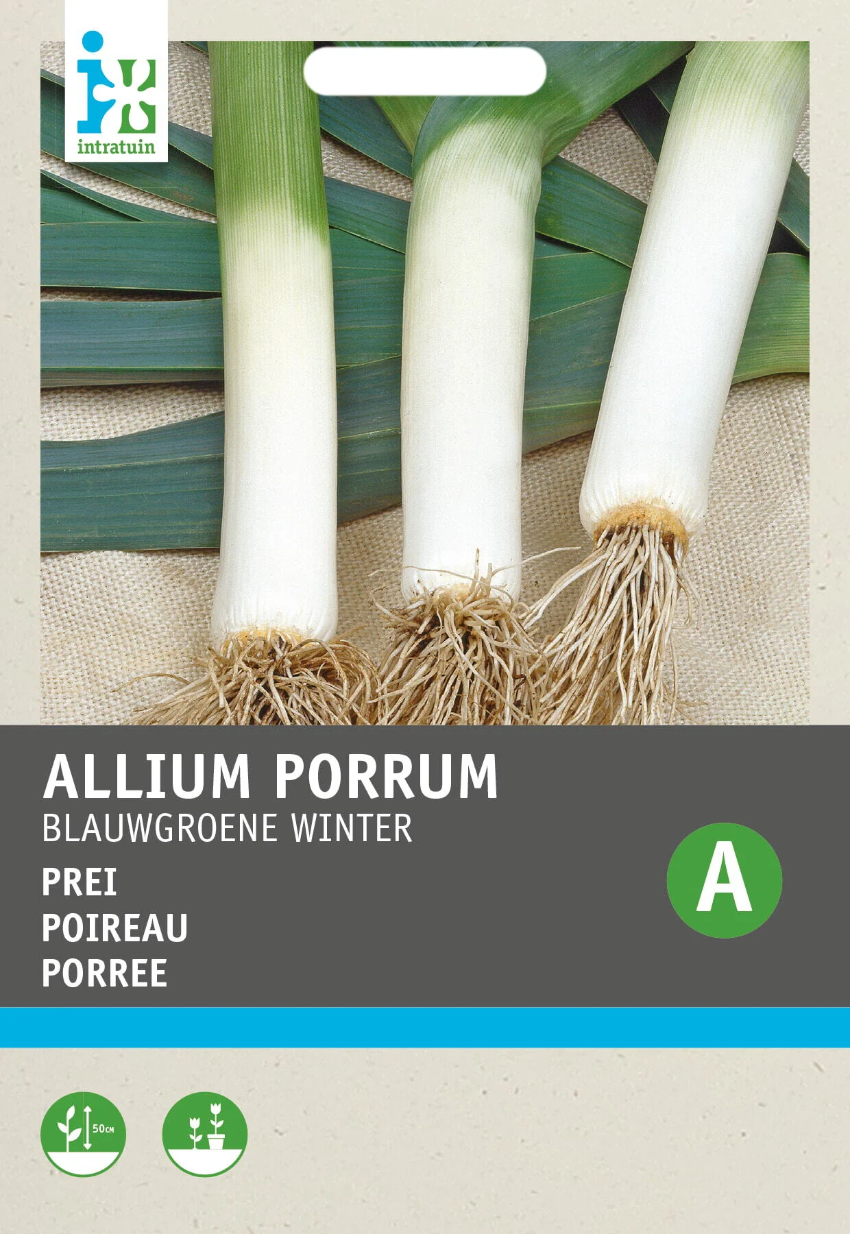 Intratuin groentezaad Prei (Allium porrum 'Blauwgroene Winter')