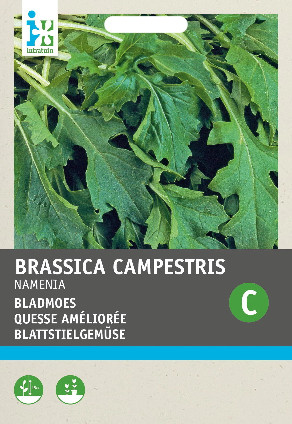 Intratuin groentezaad Raapstelen (Brassica rapa 'Namenia')