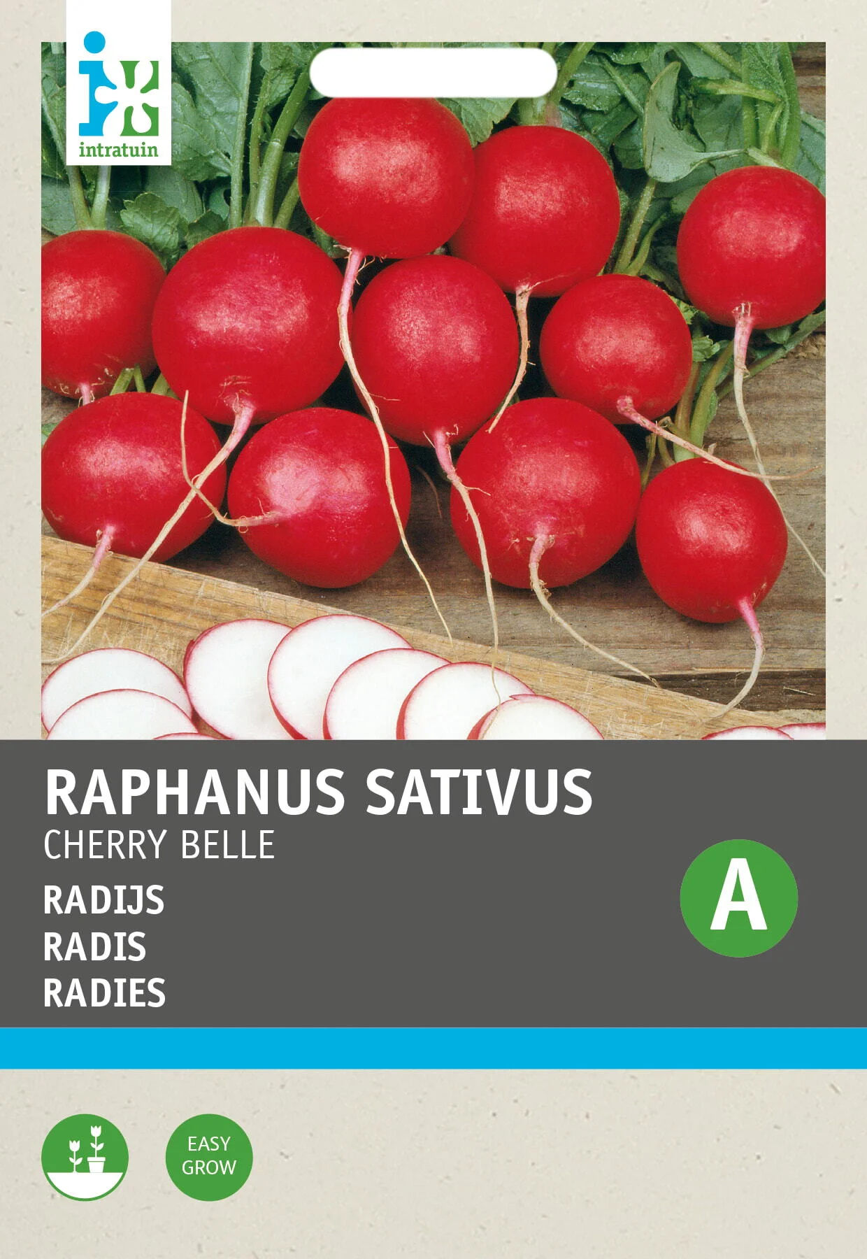 Intratuin groentezaad Radijs (Raphanus sativus 'Cherry Belle')