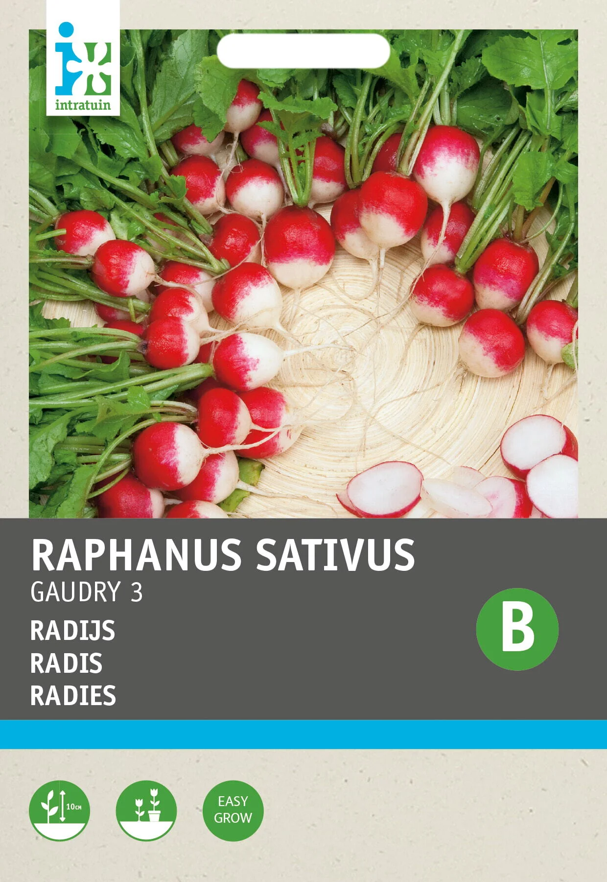 Intratuin groentezaad Radijs (Raphanus sativus 'Gaudry')
