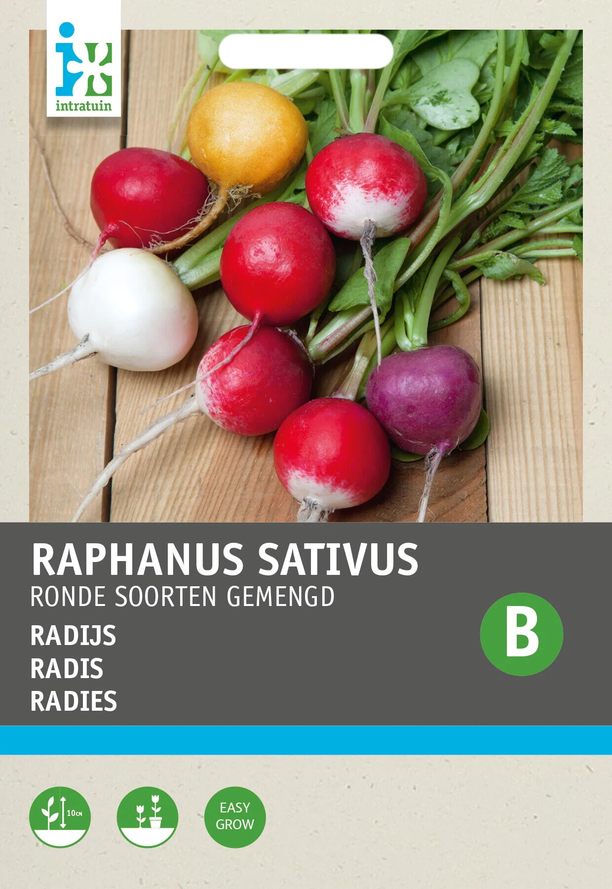 Intratuin groentezaad Radijs ronde soorten gemengd (Raphanus sativus)