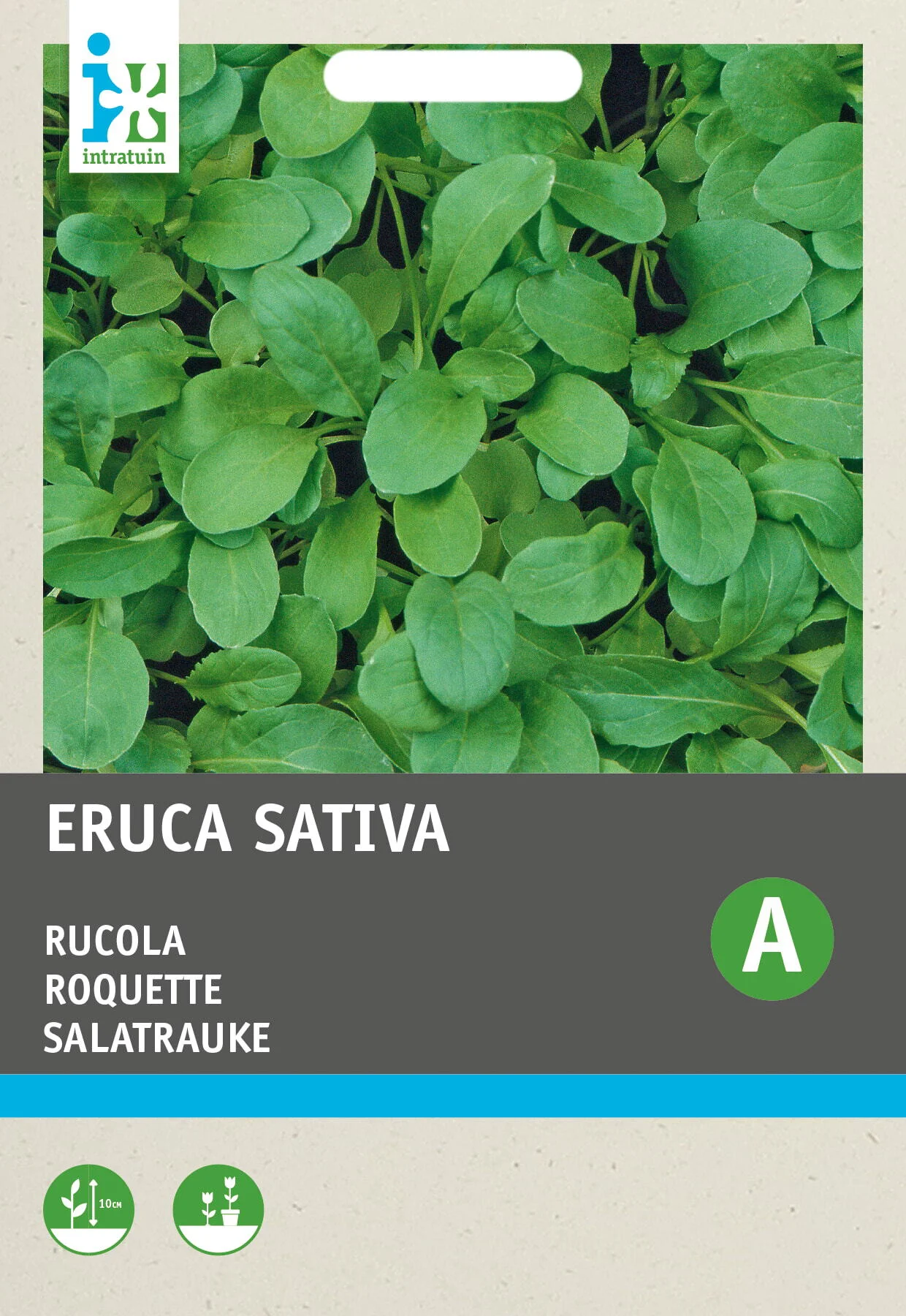 Intratuin groentezaad Rucola (Eruca sativa 'Coltivata')