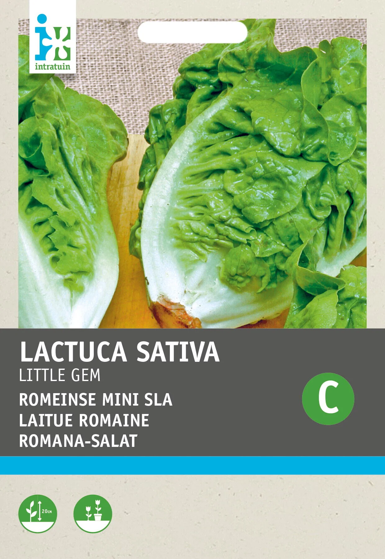 Intratuin groentezaad Romeinse mini sla (Lactuca sativa 'Mini Romana')