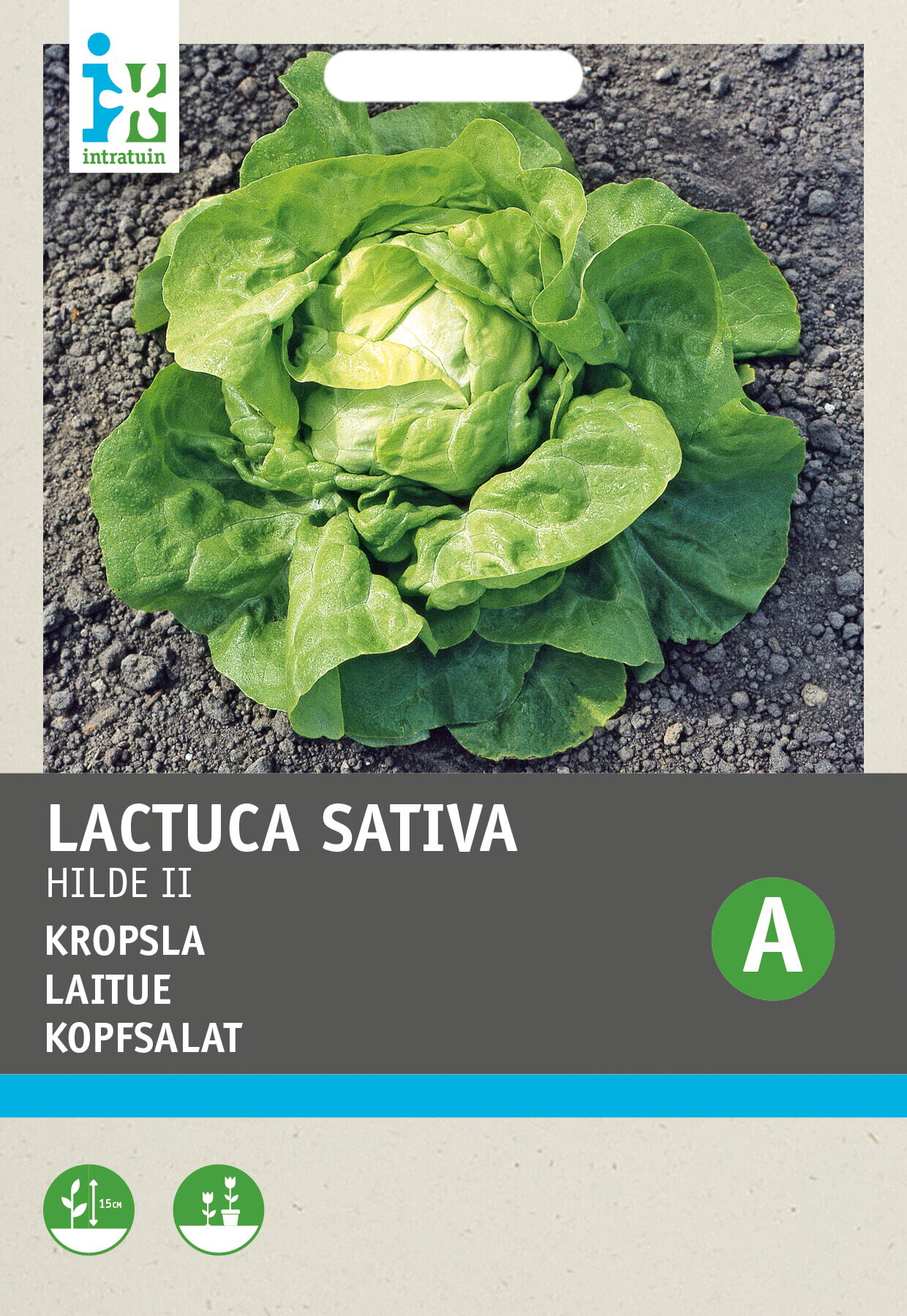 Intratuin groentezaad Kropsla (Lactuca sativa 'Hilde')