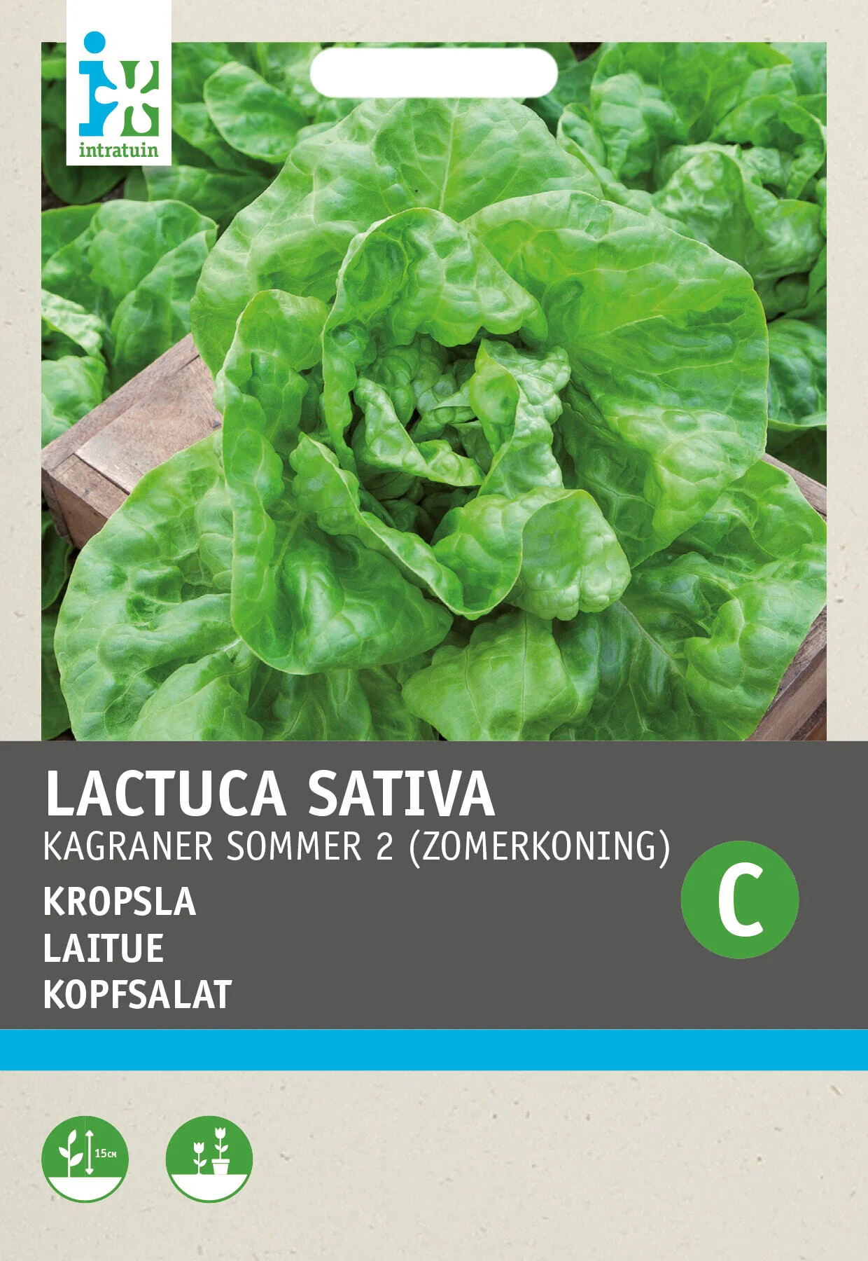 Intratuin groentezaad Kropsla (Lactuca sativa 'Neckarriesen')
