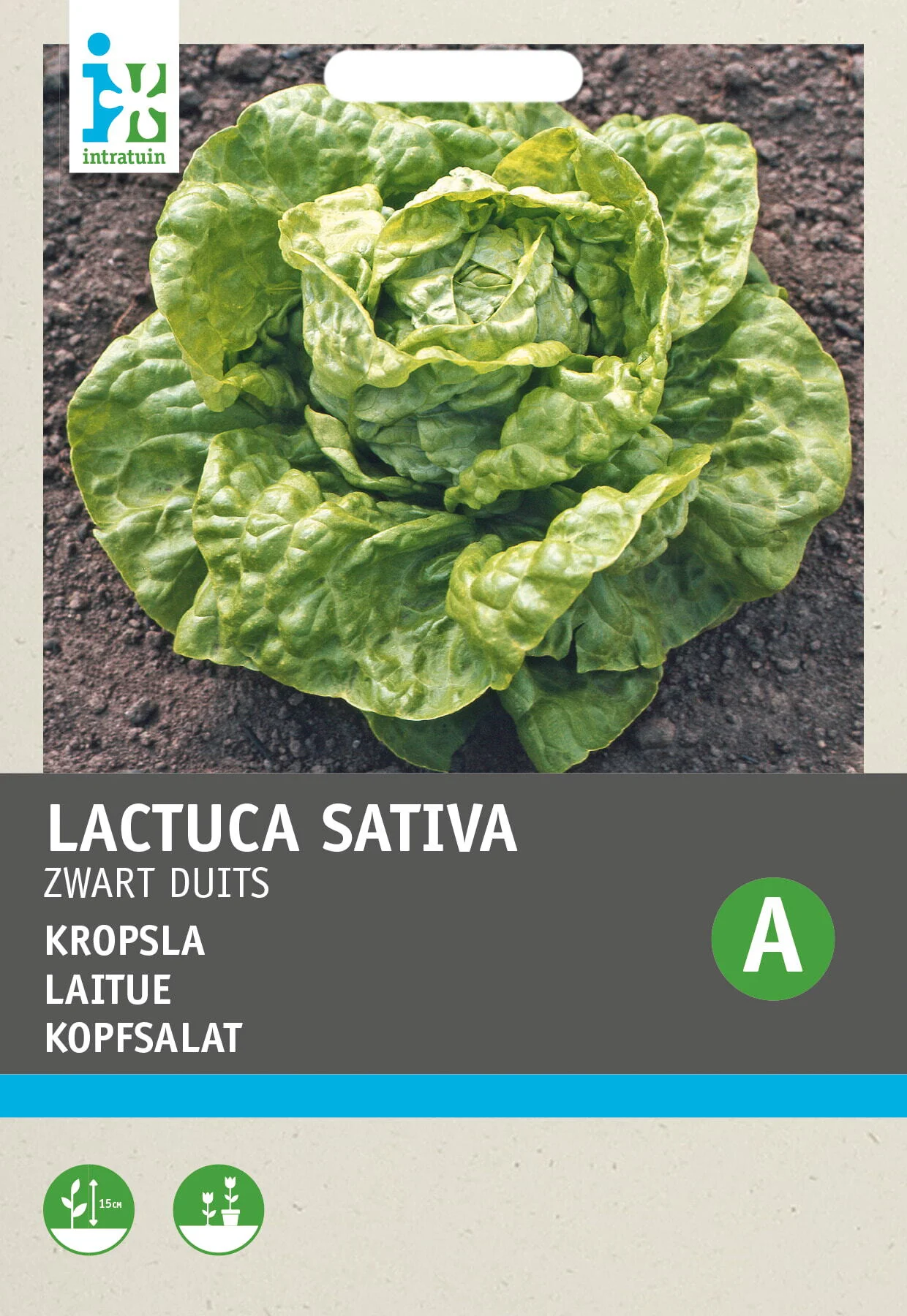 Intratuin groentezaad Kropsla (Lactuca sativa 'Zwart-Duits')