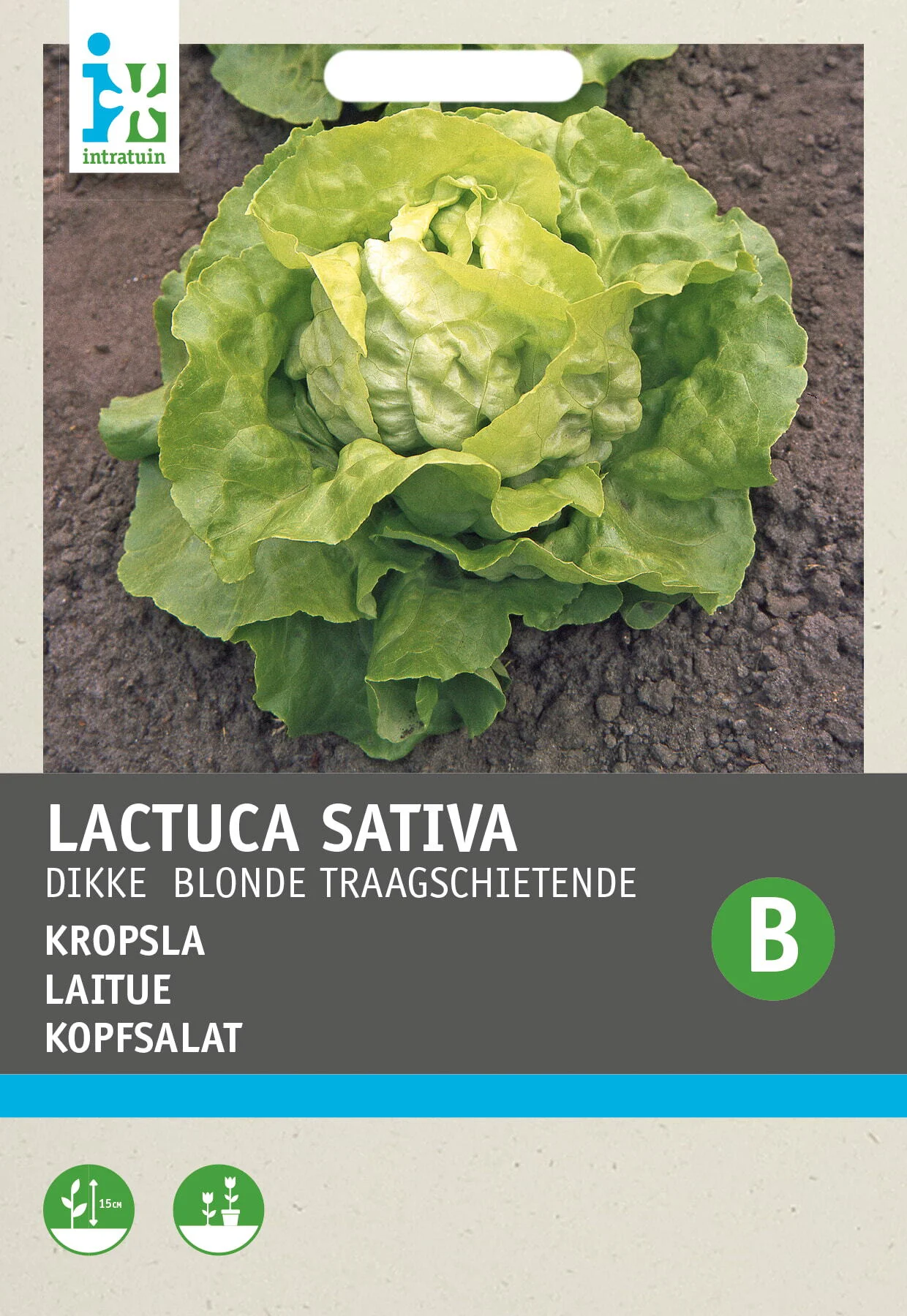 Intratuin groentezaad Kropsla (Lactuca sativa 'Blonde Traagschietende')