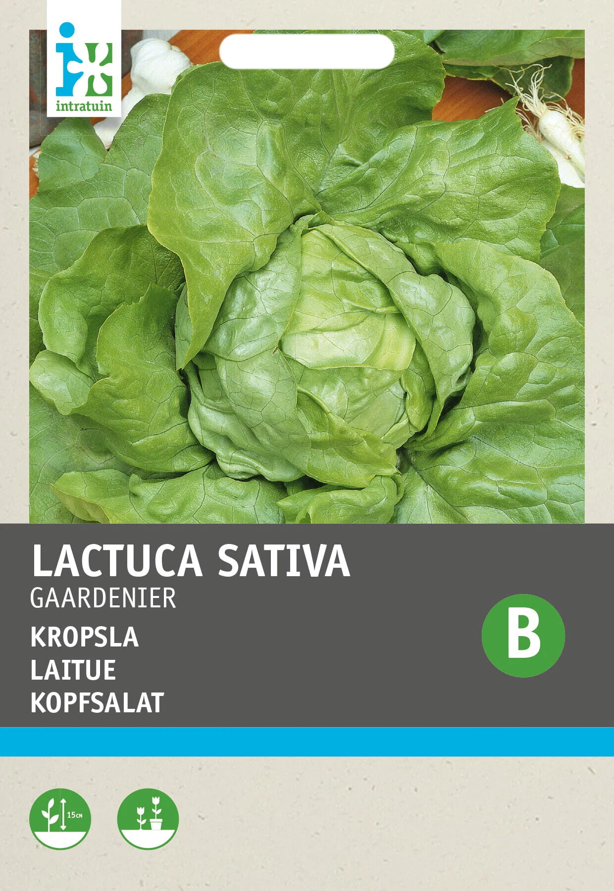Intratuin groentezaad Kropsla (Lactuca sativa 'Gaardenier')