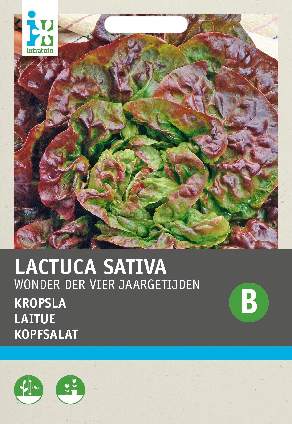Intratuin groentezaad Kropsla (Lactuca sativa 'Wonder van 4 jaargetijden')