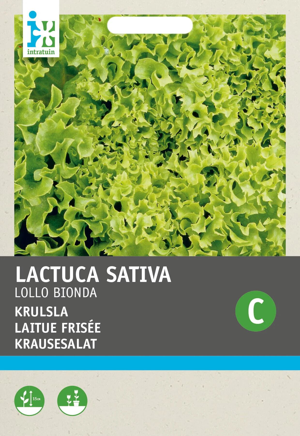 Intratuin groentezaad (Lactuca sativa 'Lollo Bionda')