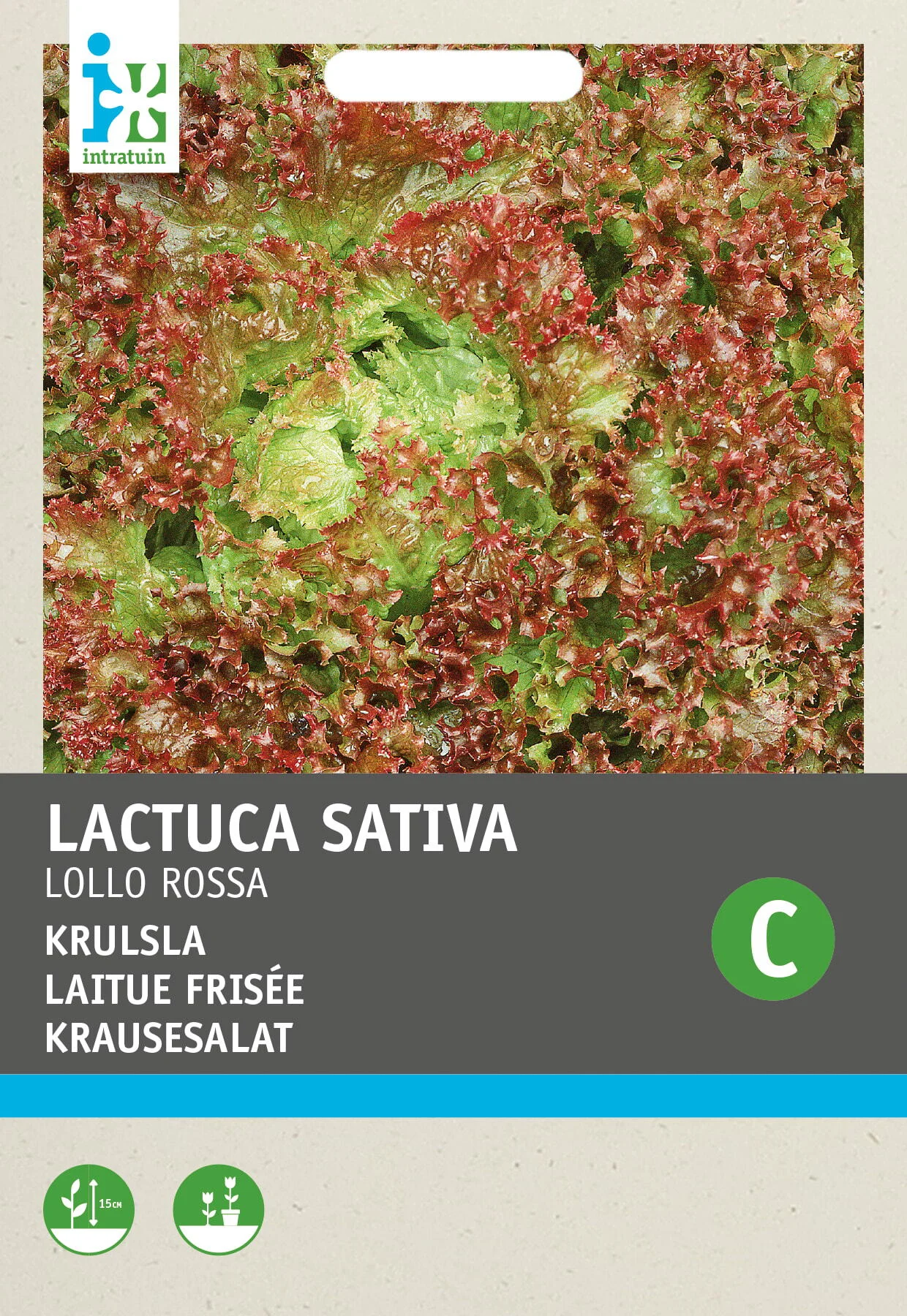 Intratuin groentezaad Krulsla (Lactuca sativa 'Lollo Rossa')