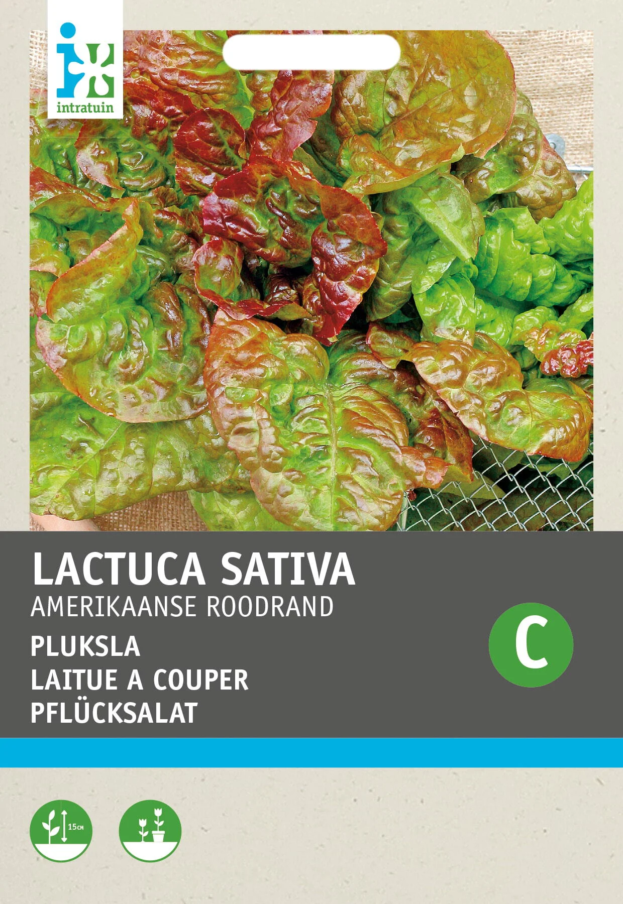 Intratuin groentezaad Pluksla (Lactuca sativa 'Amerikaanse Roodrand')