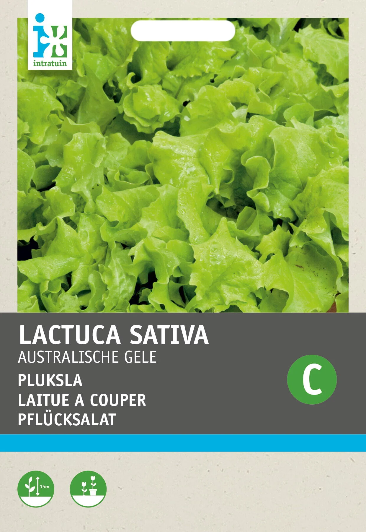Intratuin groentezaad Pluksla  (Lactuca sativa 'Australische Gele')