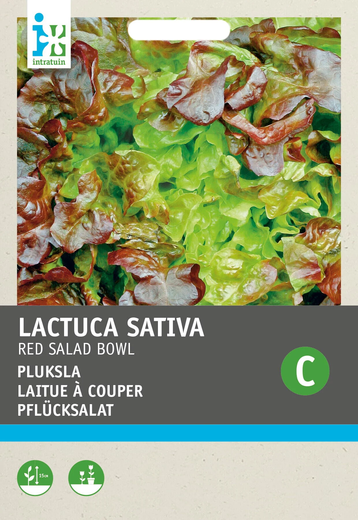 Intratuin groentezaad Rode Eikebladsla (Lactuca sativa 'Foliosa')