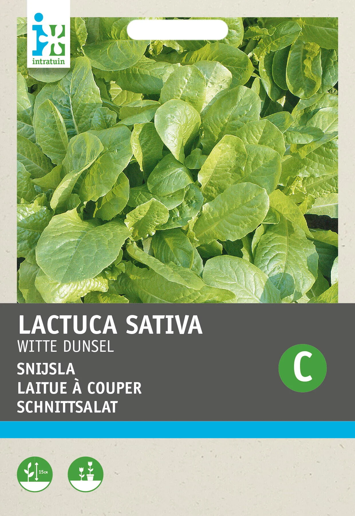 Intratuin groentezaad (Latuca sativa 'Witte Dunsel')