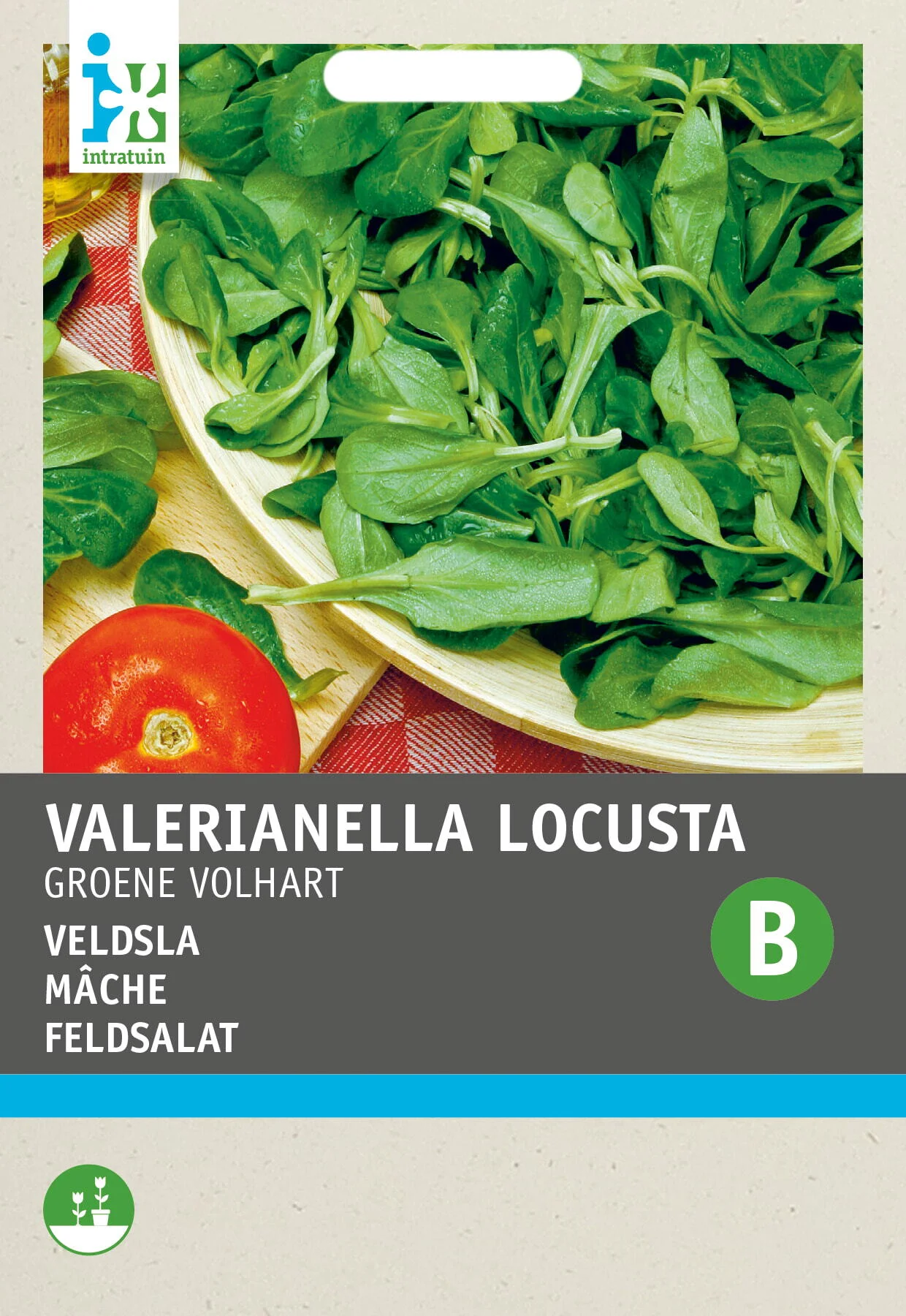 Intratuin groentezaad Veldsla (Valerianella olitoiria 'Groene Volhart')