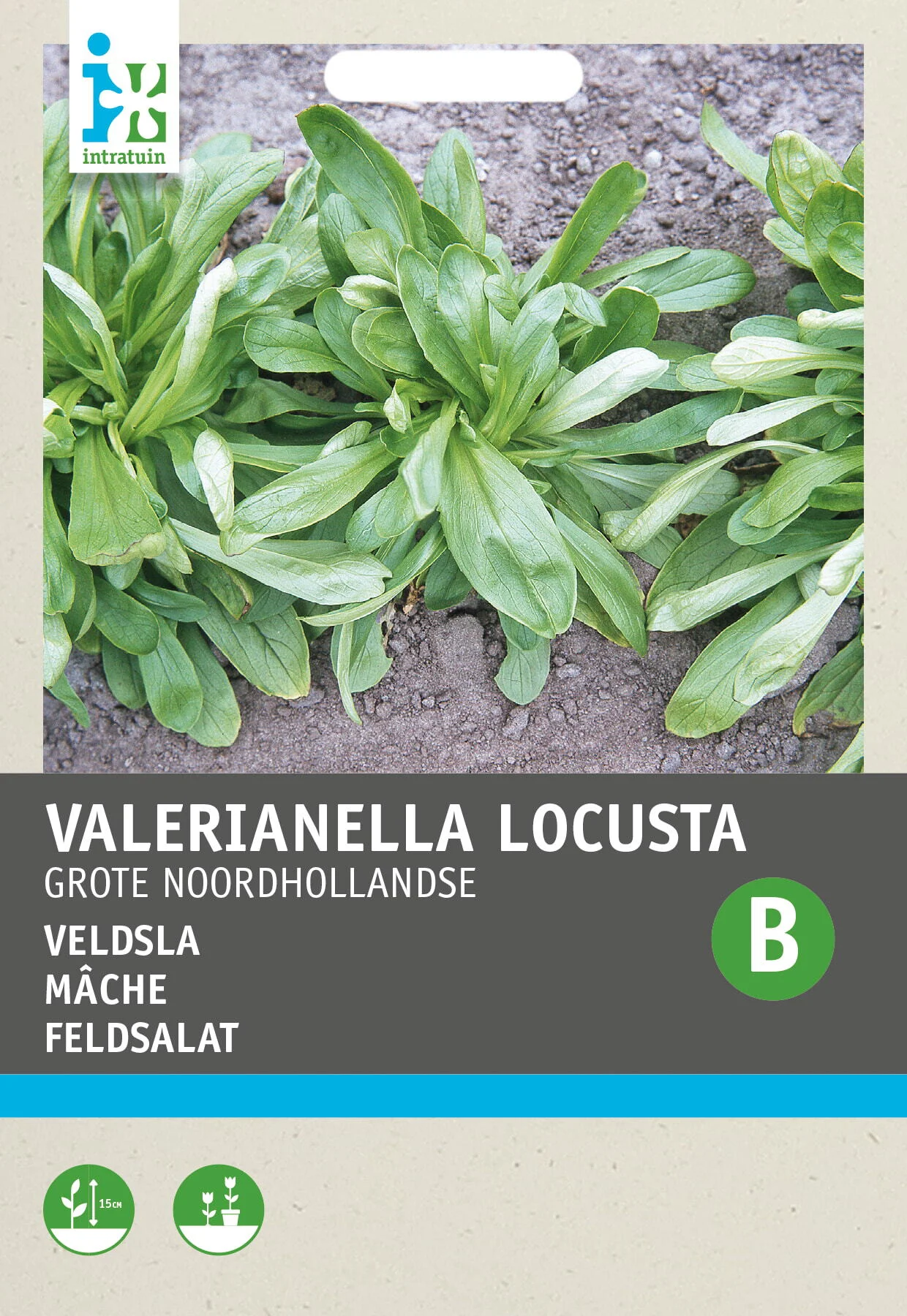 Intratuin groentezaad (Vallerianella locusta 'Grote Noordhollandse')
