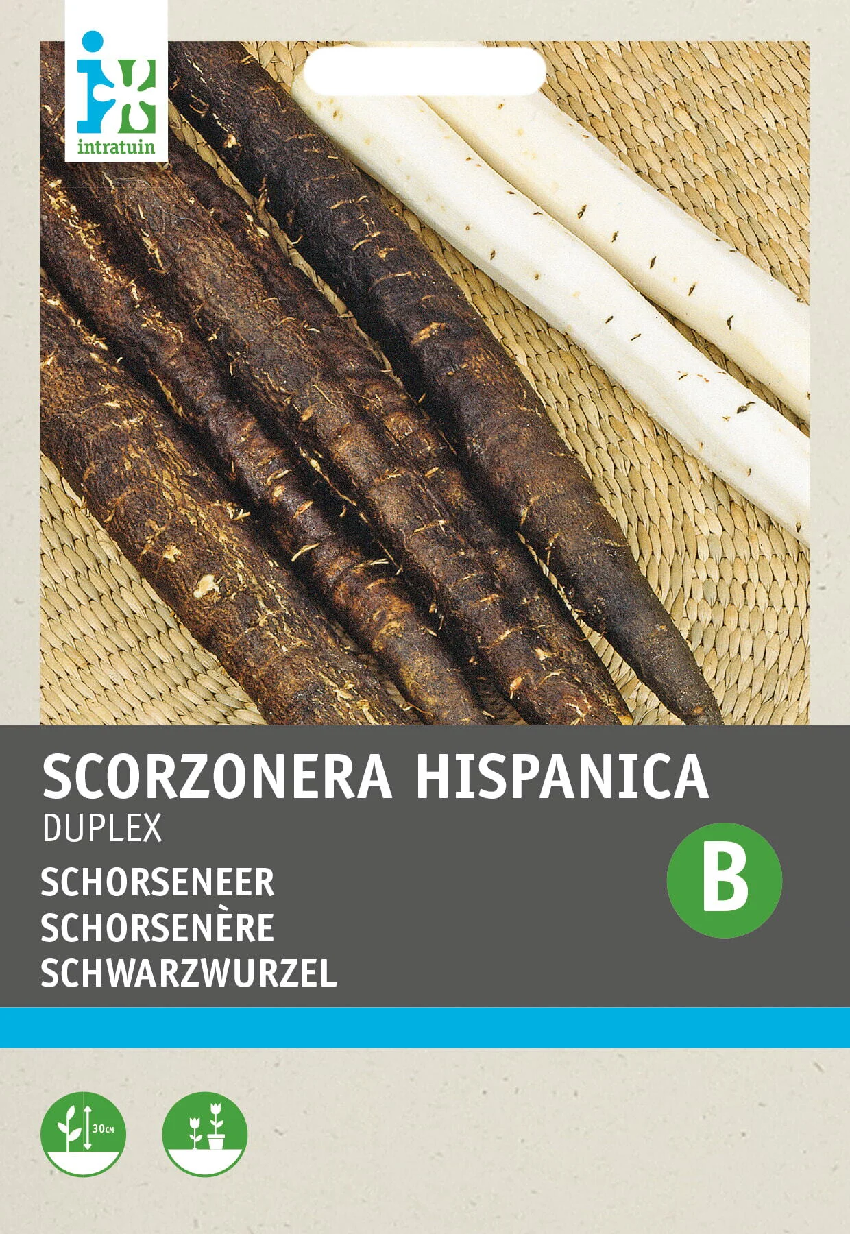 Intratuin groentezaad Schorseneren (Scorzonera hispanica 'Nietschieters Zwart')