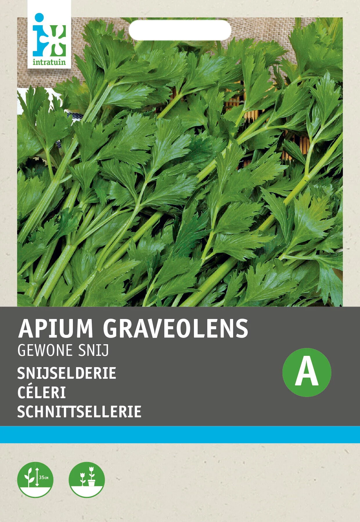 Intratuin groentezaad Snijselderij (Apium graveolens 'Gewone Snij')