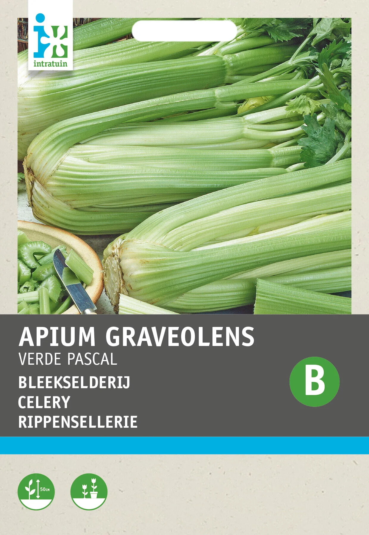 Intratuin groentezaad Selderij (Apium graveolens 'Groene van Pascal')