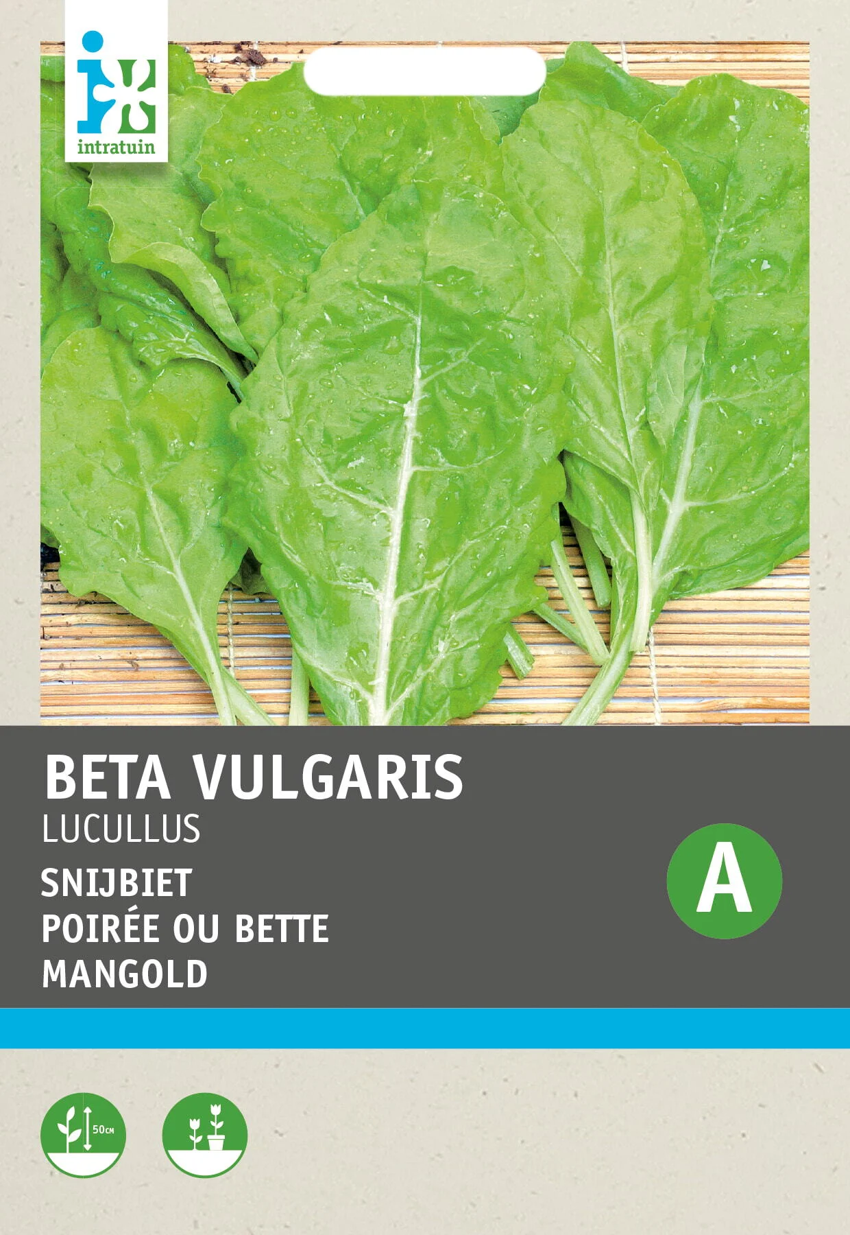 Intratuin groentezaad Snijbiet goudgeel (Beta vulgaris 'Lucullus')
