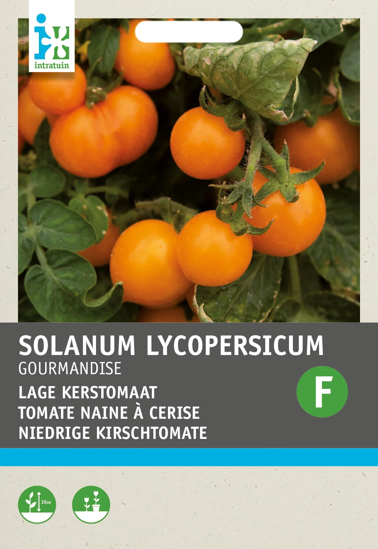 Intratuin groentezaad Patio tomaten geel (Solanum lycopersicum 'Gourmandise')