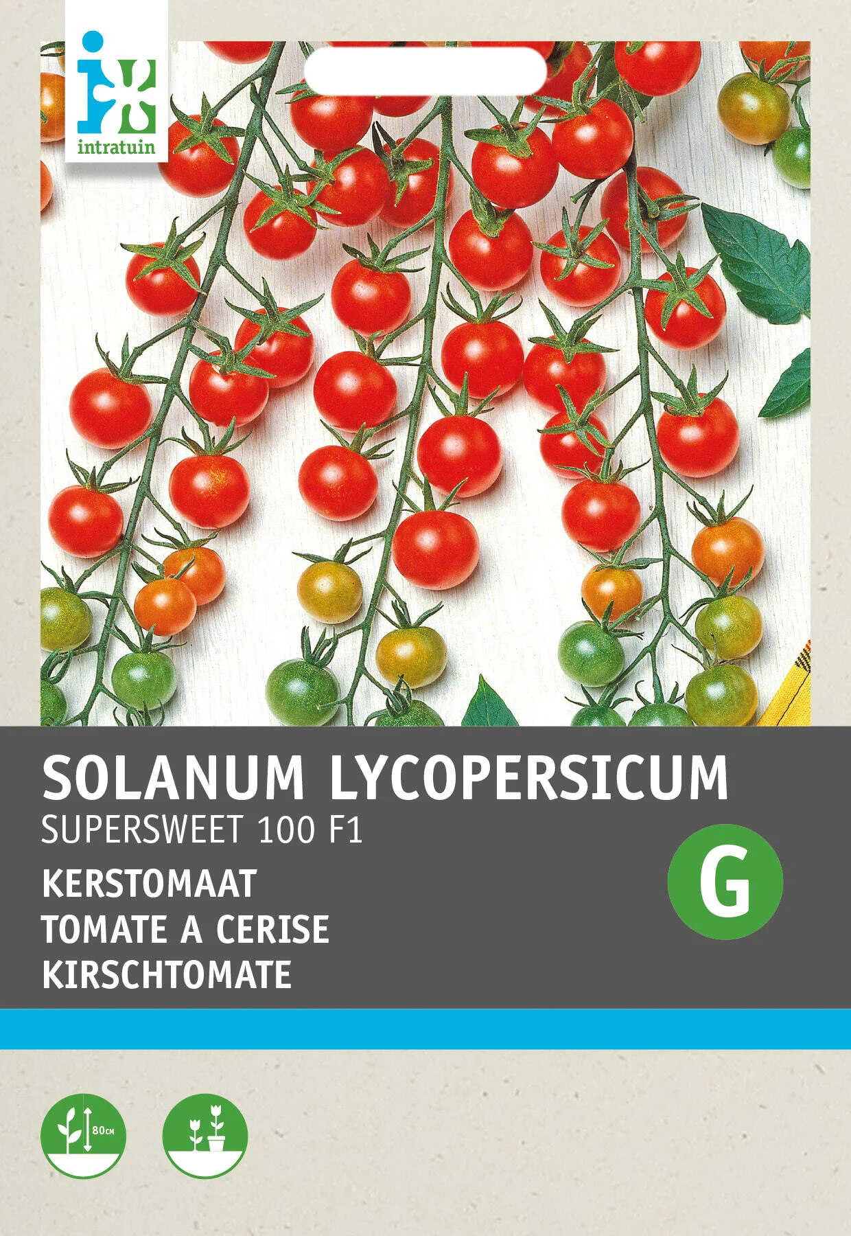 Intratuin groentezaad (Solanum lycopersicum 'Supersweet 100 F1')