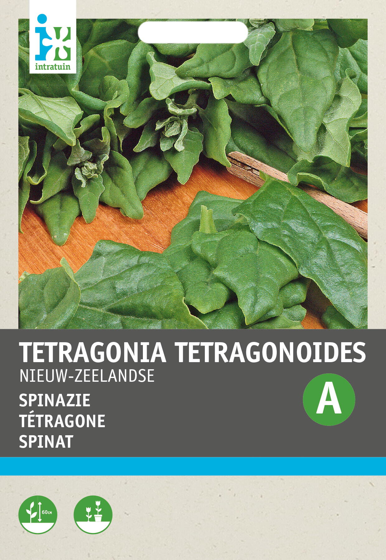 Intratuin groentezaad Nieuw-Zeelandse Spinazie (Tetragonia tetragonoides)