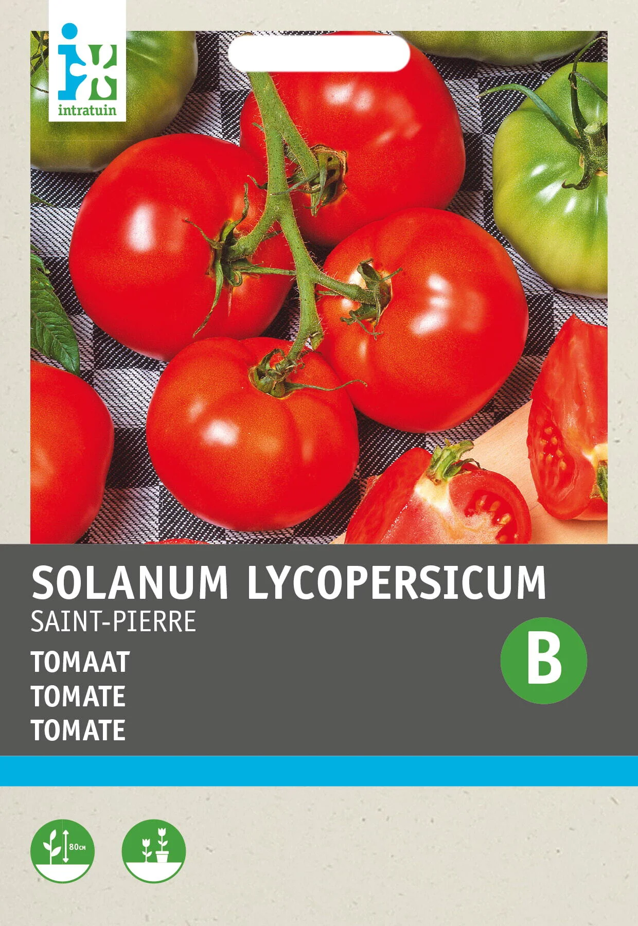 Intratuin groentezaad Tomaat vollegrondse (Solanum lycopersicum 'St. Pierre')