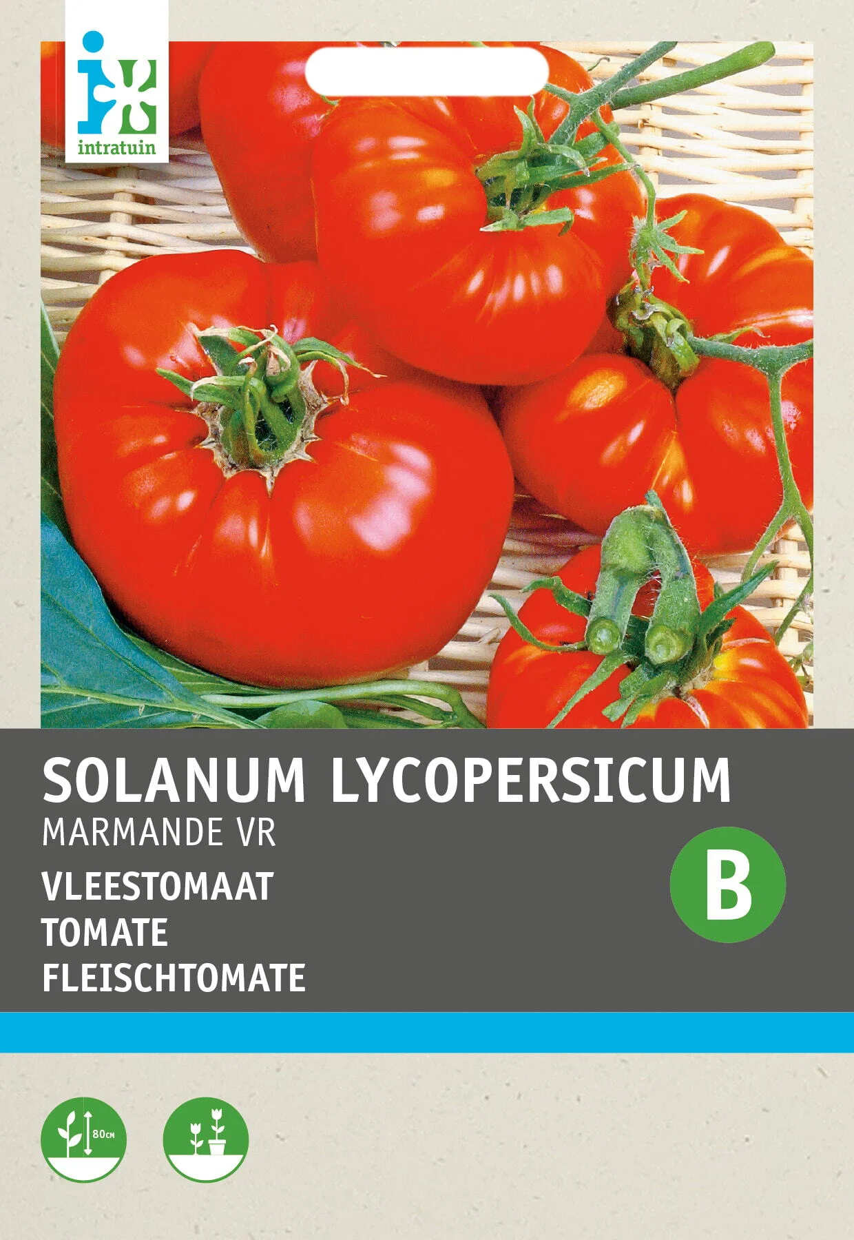 Intratuin groentezaad Vleestomaat (Solanum lycopersicum 'Marmande')