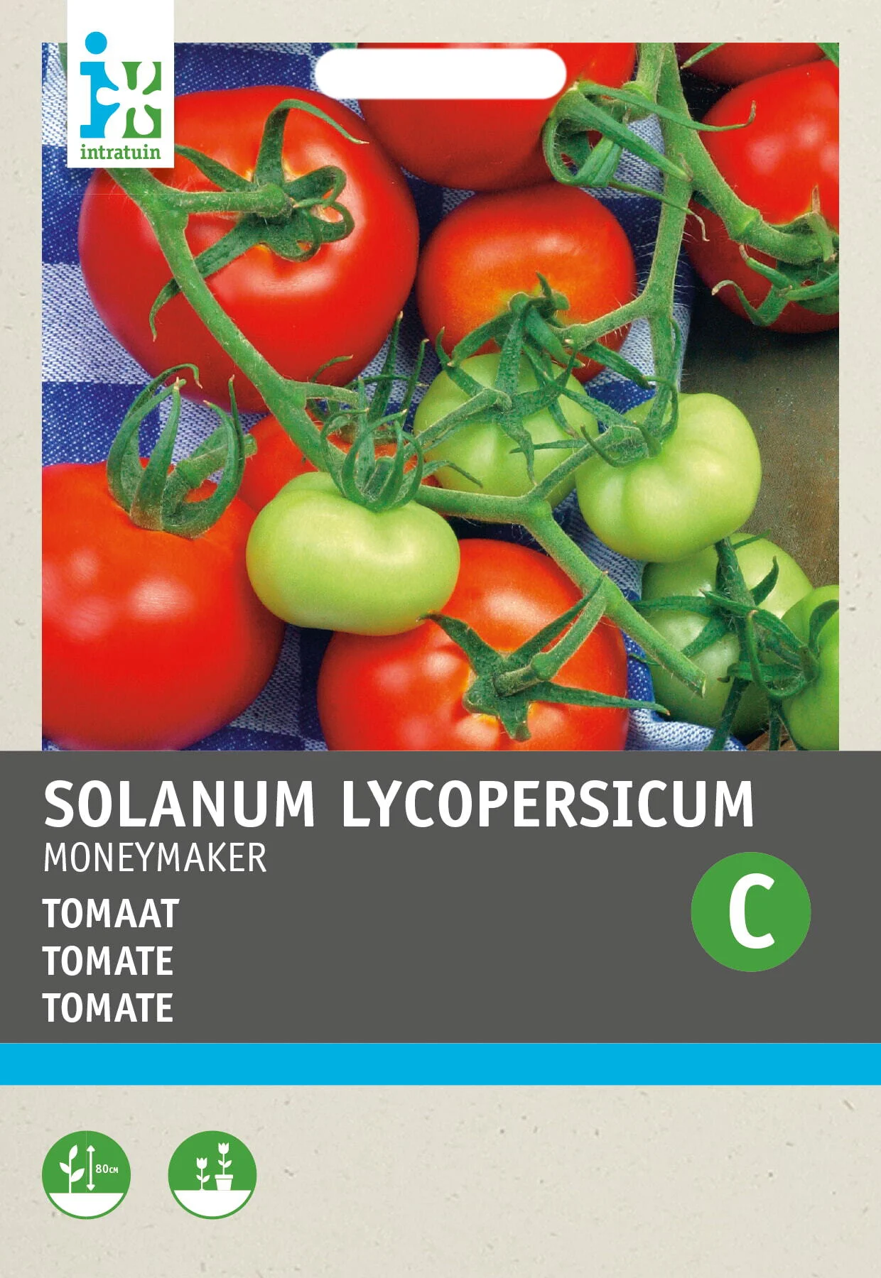 Intratuin groentezaad Tomaten (Solanum lycopersicum 'Moneymaker')