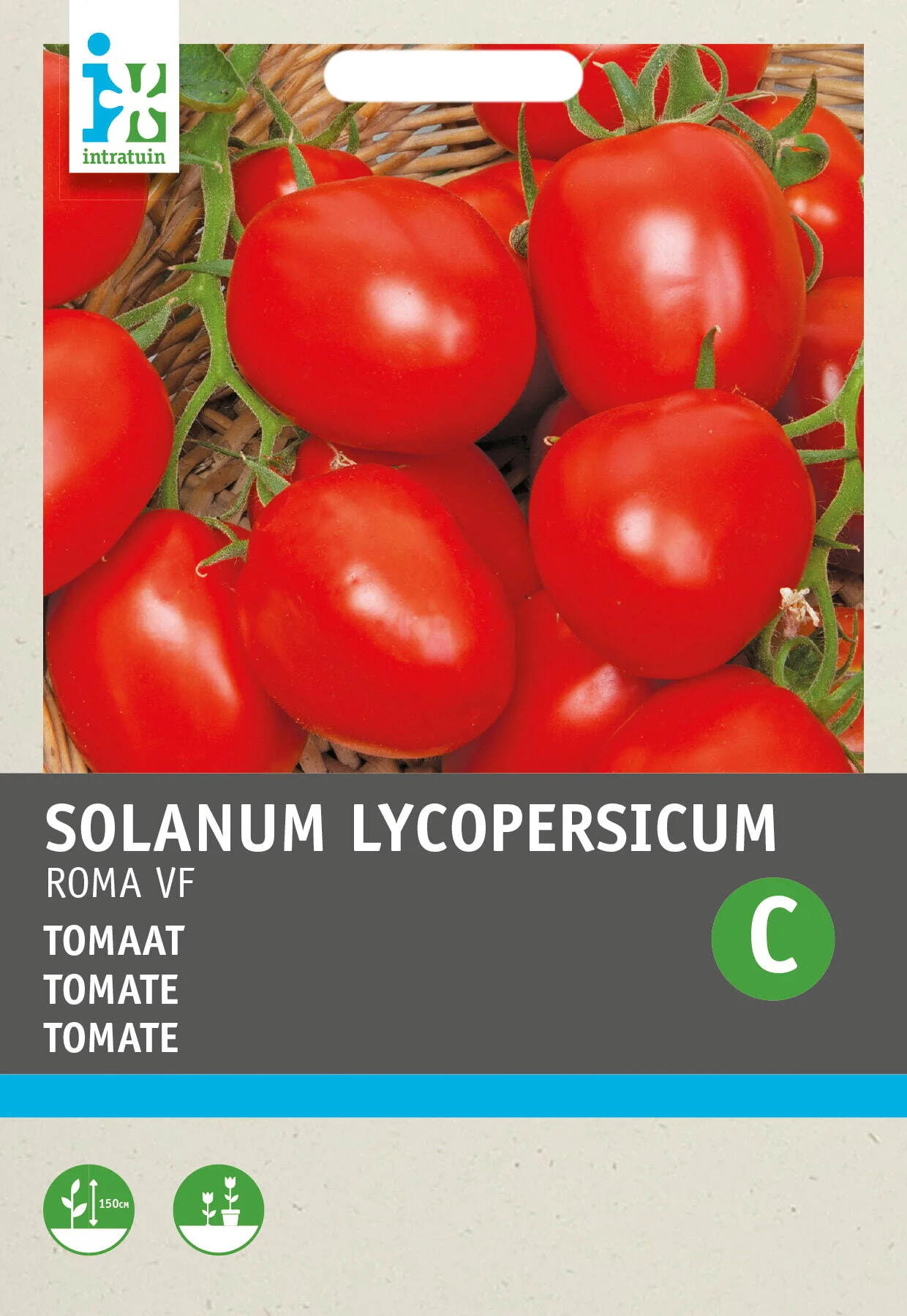 Intratuin groentezaad (Solanum lycopersicum 'Roma')
