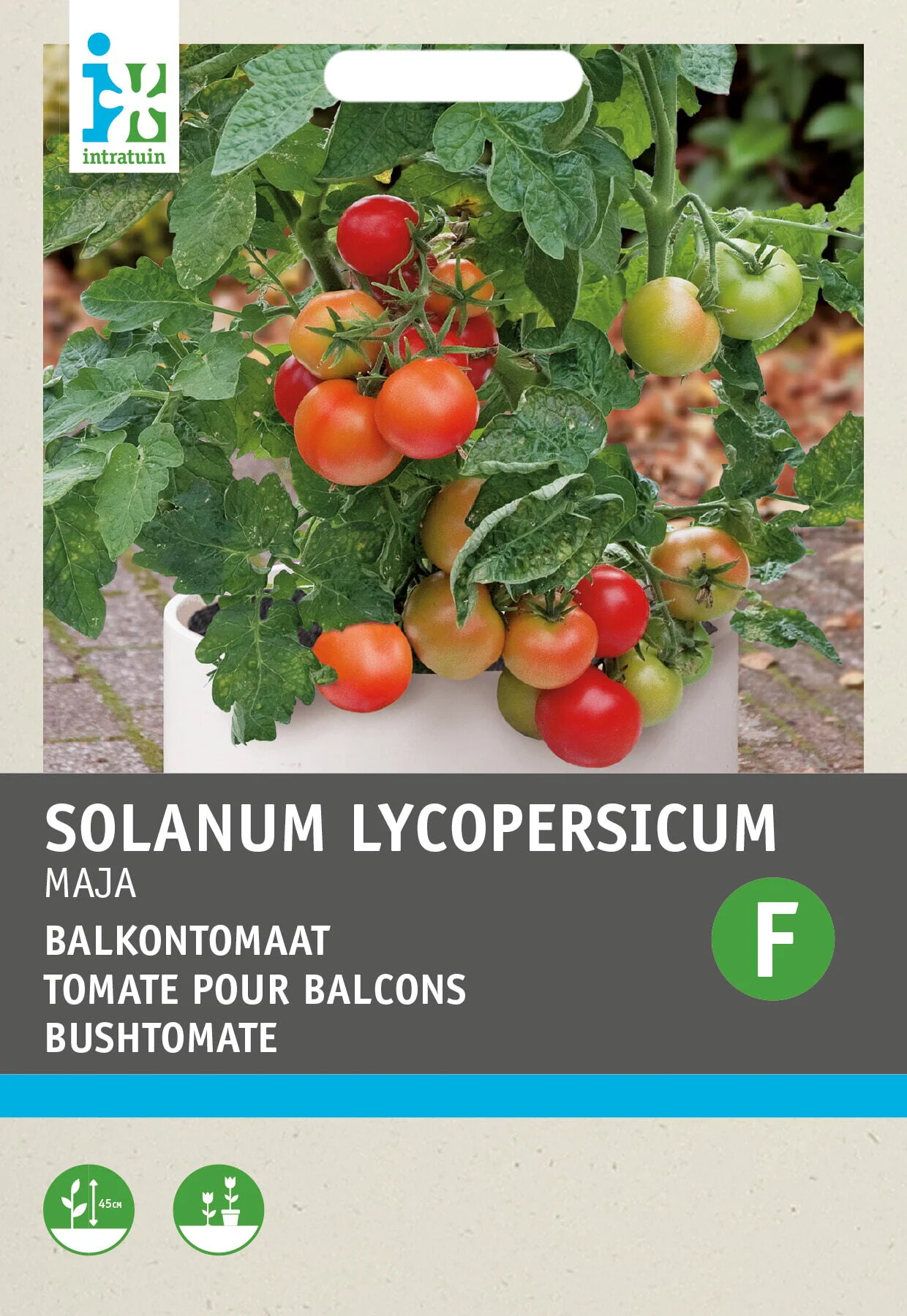 Intratuin groentezaad Tomaten (Solanum lycopersicum 'Maja Origineel')