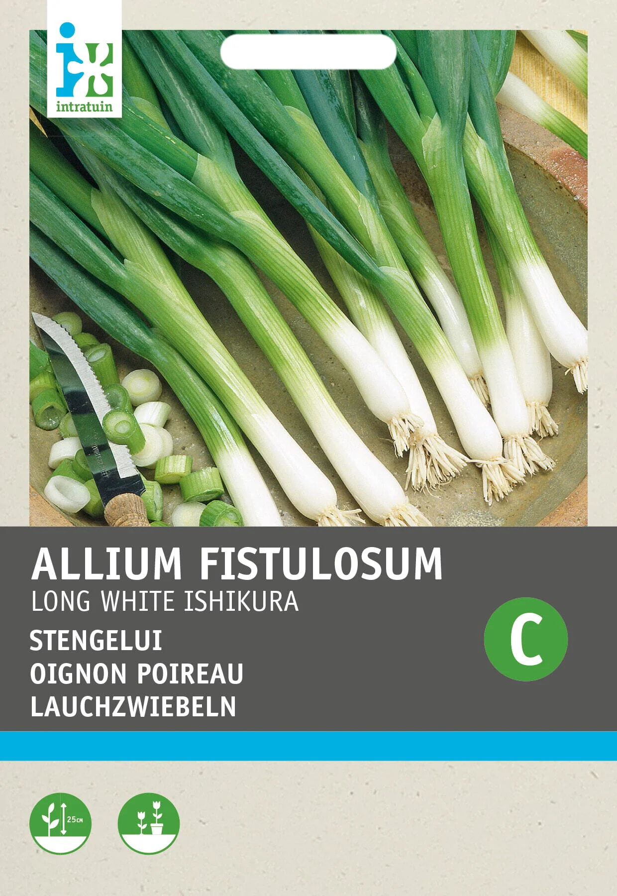 Intratuin groentezaad Stengel ui (Allium fistulosum 'Ishikura')