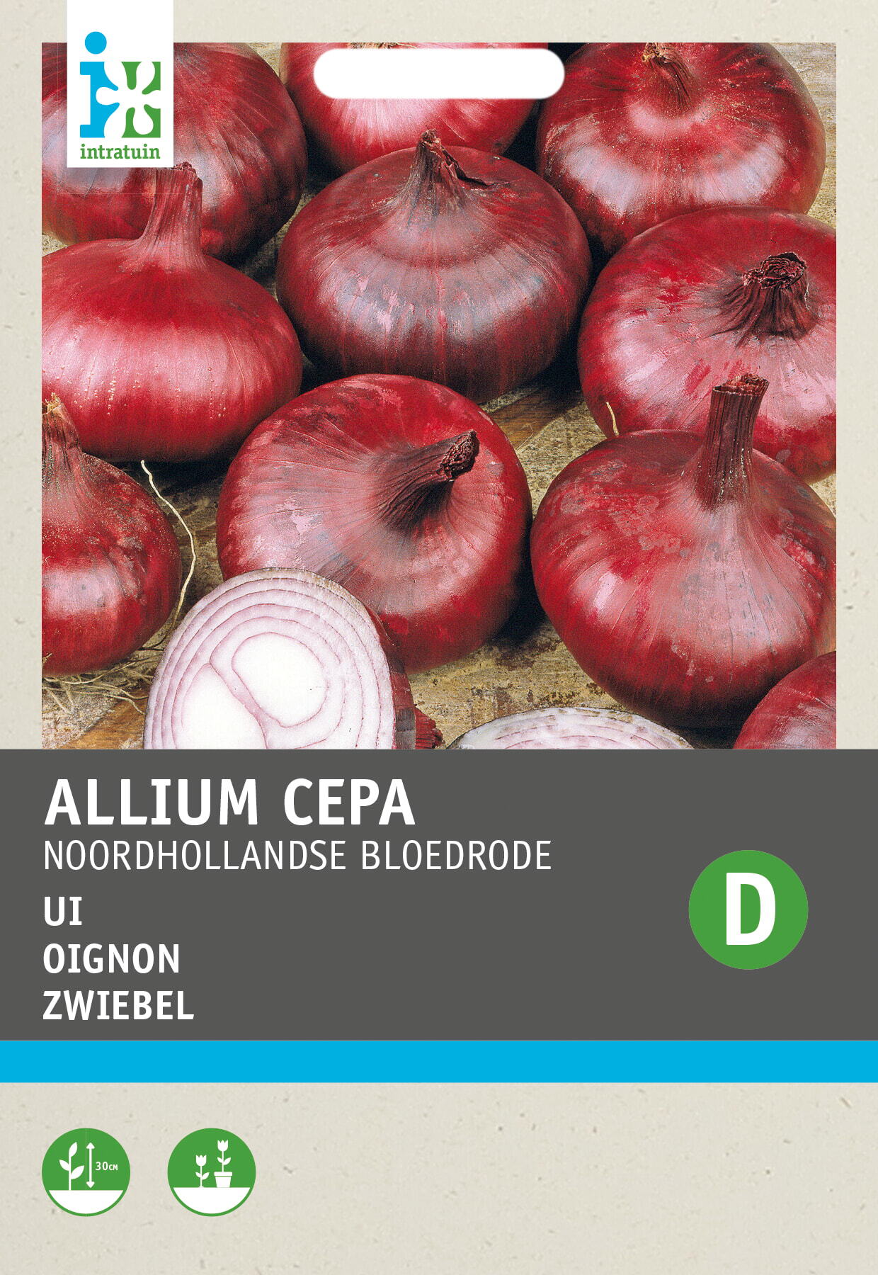 Intratuin groentezaad Uien (Allium cepa 'Noordhollandse bloedrode')