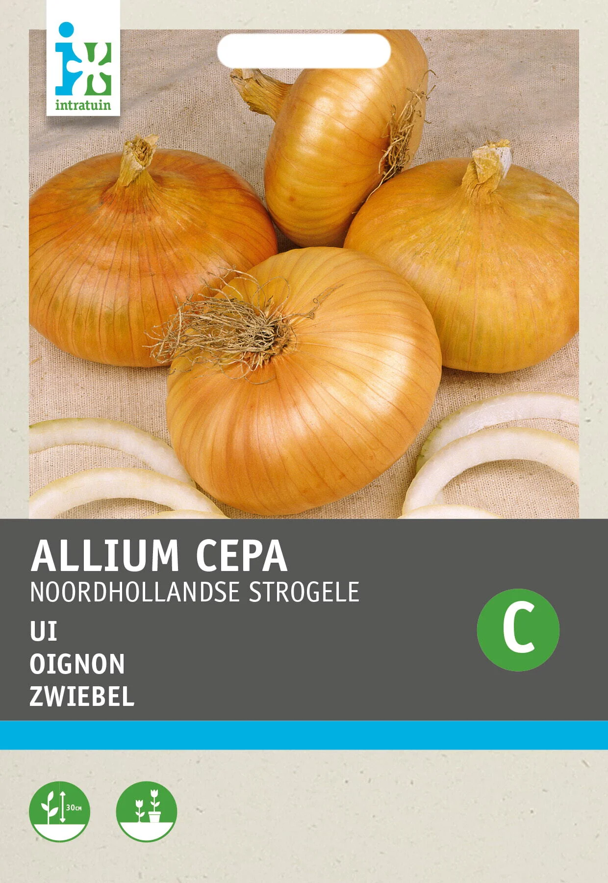 Intratuin groentezaad Uien (Allium cepa 'Noordhollandse Strogele')
