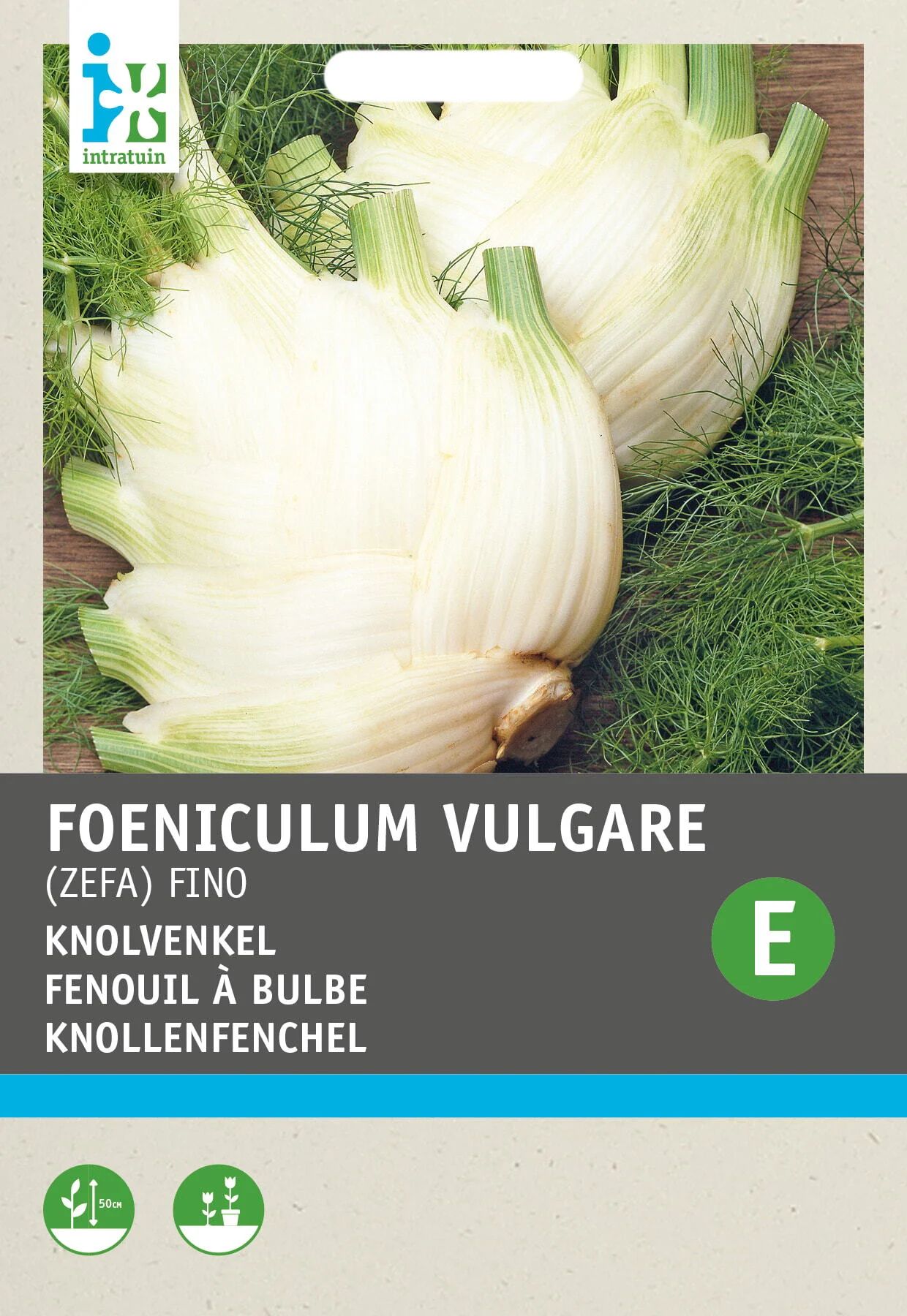Intratuin groentezaad Venkel (Foeniculum vulgare 'Zefa Fino')
