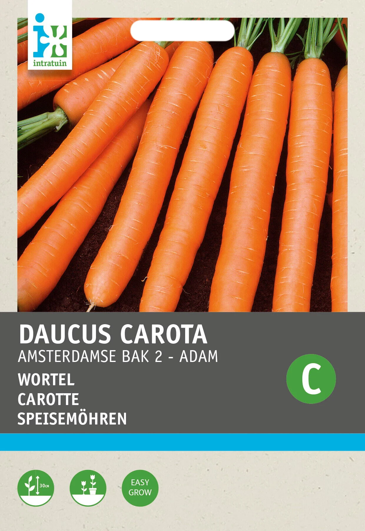 Intratuin groentezaad Wortelen (Daucus 'A'damse Bak')