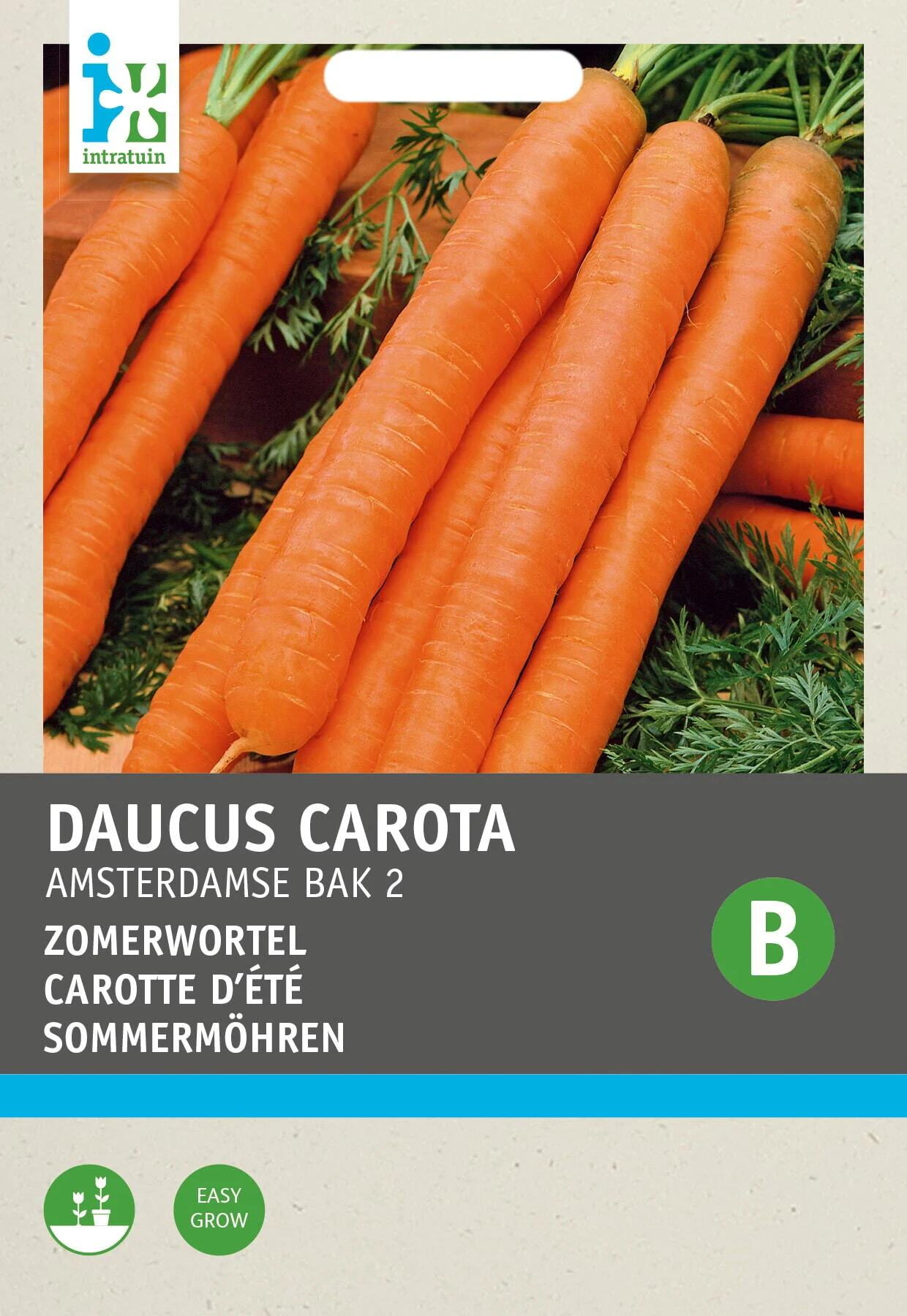 Intratuin groentezaad Wortelen (Daucus carota 'Amsterdamse Bak')