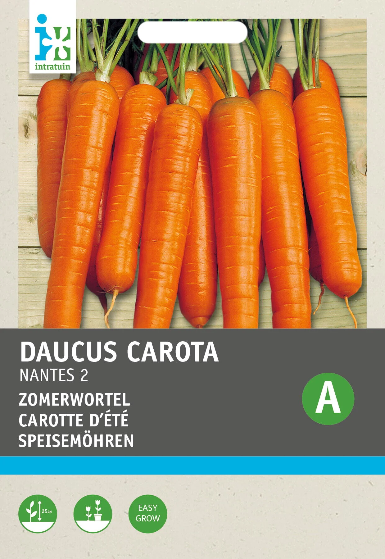 Intratuin groentezaad Wortelen (Daucus carota 'Nantes Halflange')
