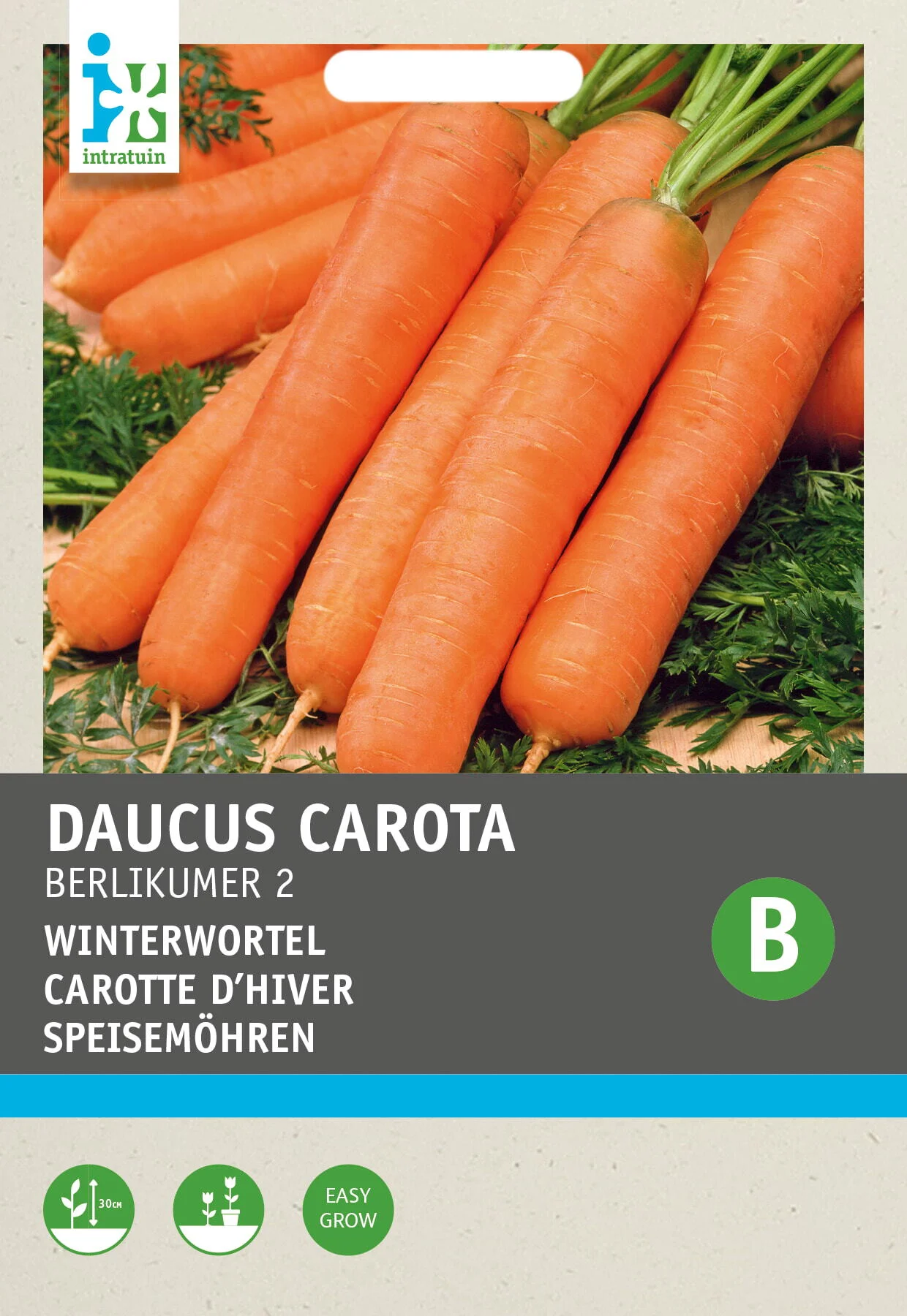 Intratuin groentezaad Winterwortelen (Daucus carota 'Berlikum Winter')