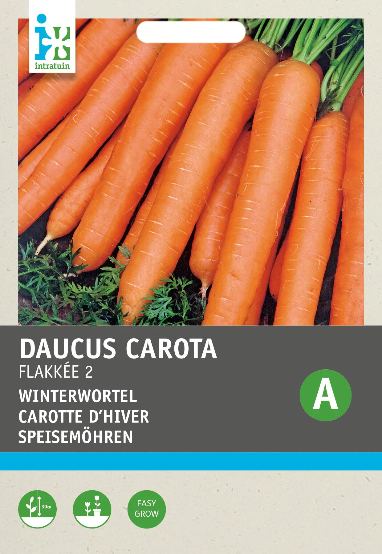 Intratuin groentezaad Wortelen (Daucus carota 'Flakkeese Stomppunt')