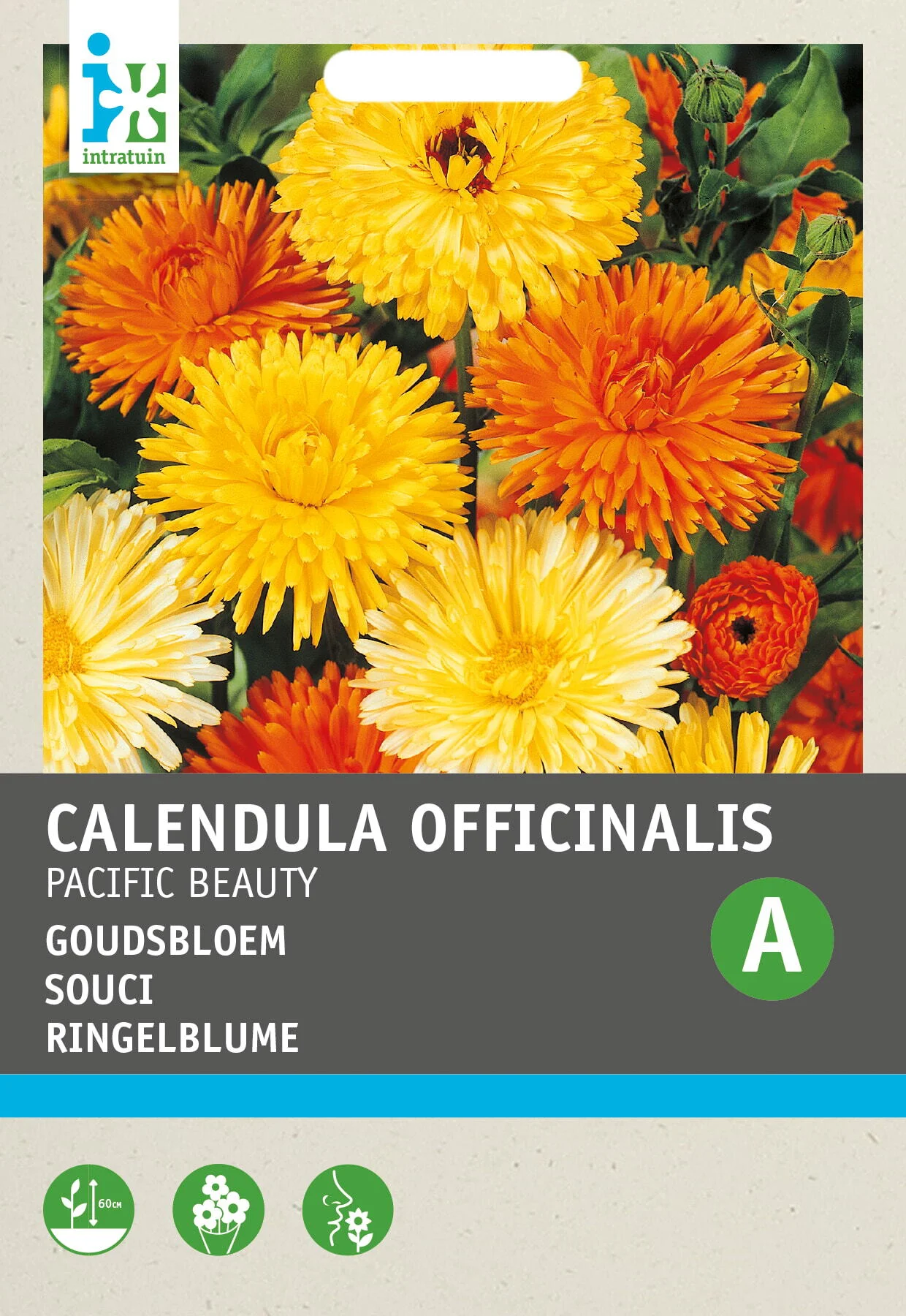 Intratuin bloemenzaad Goudsbloem gemengd (Calendula officinalis 'Pacific Beauty')