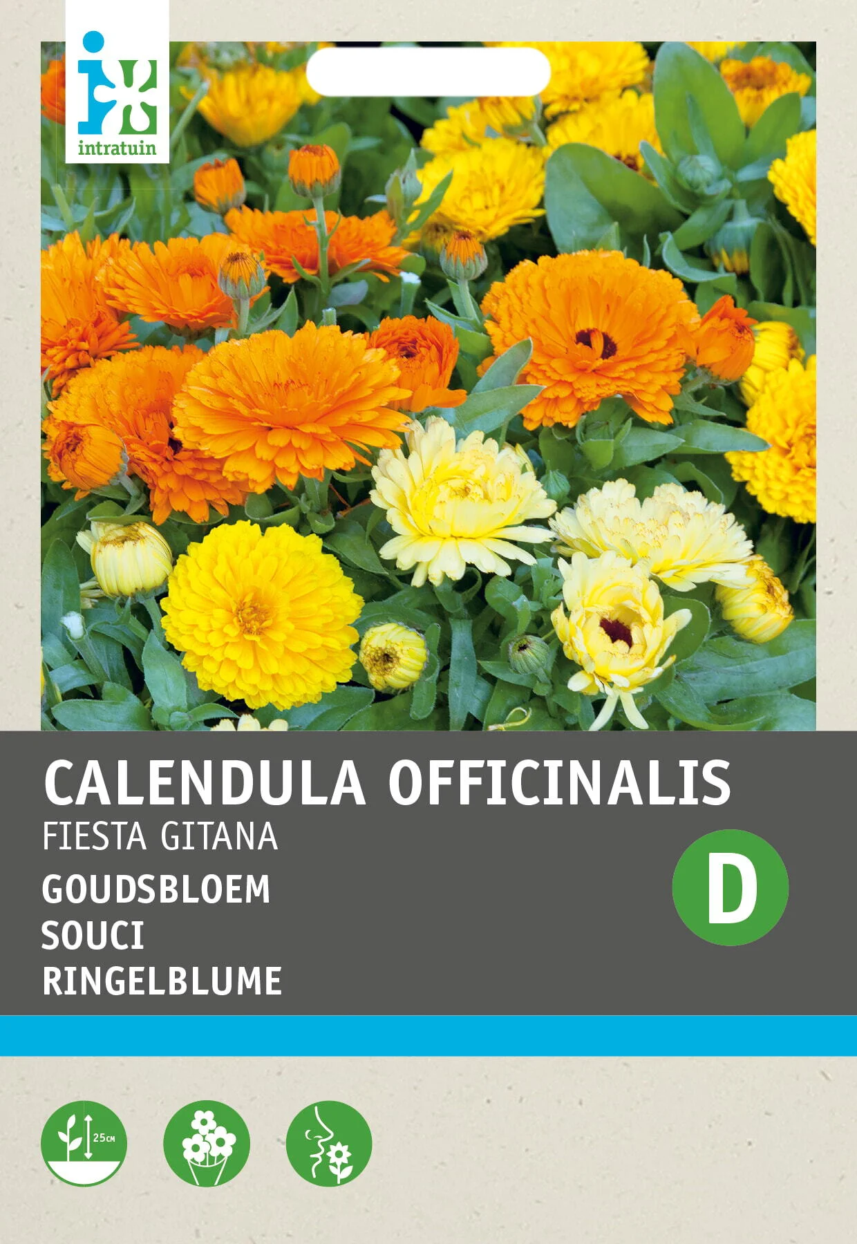 Intratuin bloemenzaad Goudsbloem gemengd (Calendula officinalis 'Fiësta Gitana')