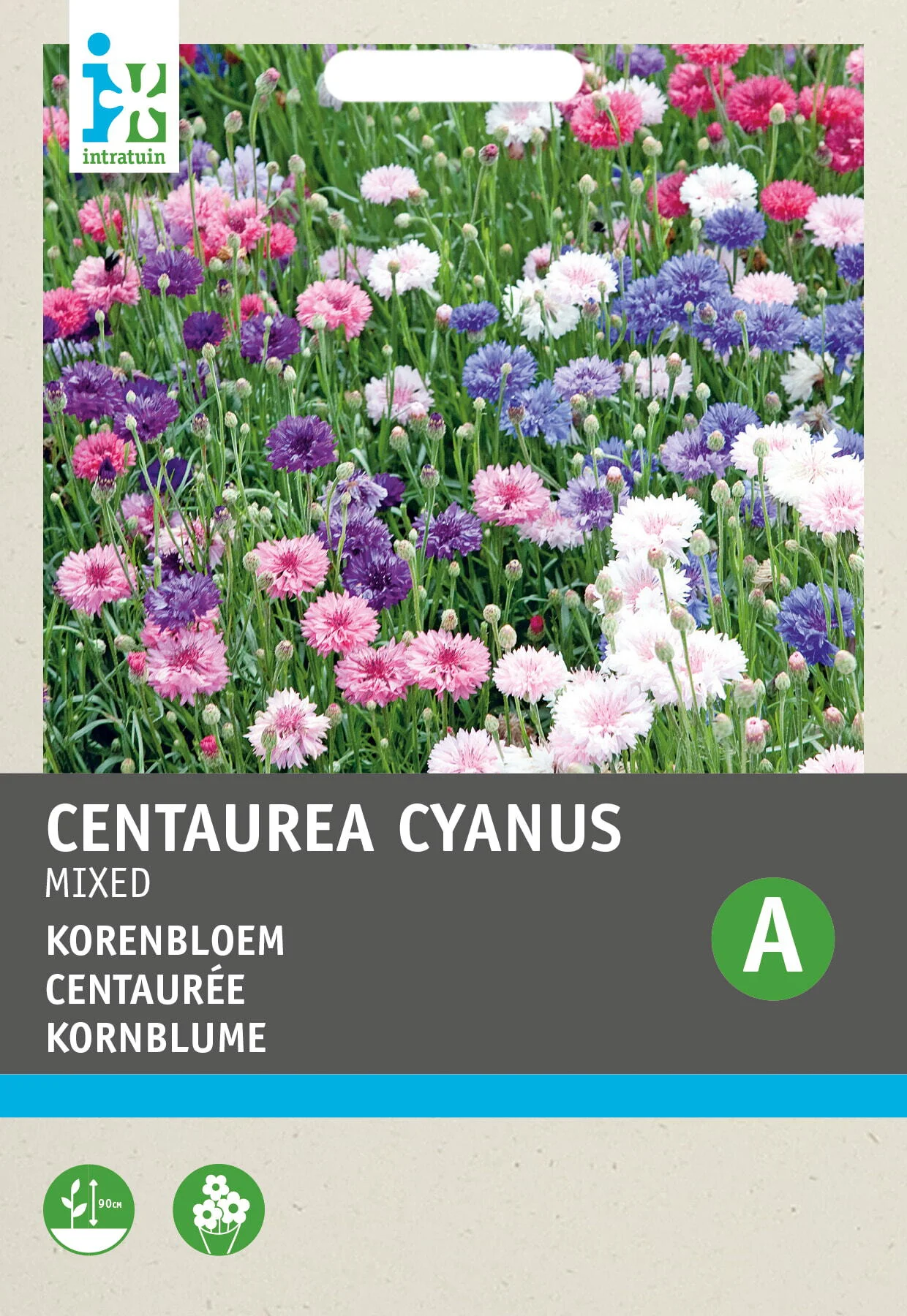 Intratuin bloemenzaad Korenbloem dubbel (Centaurea cyanus)