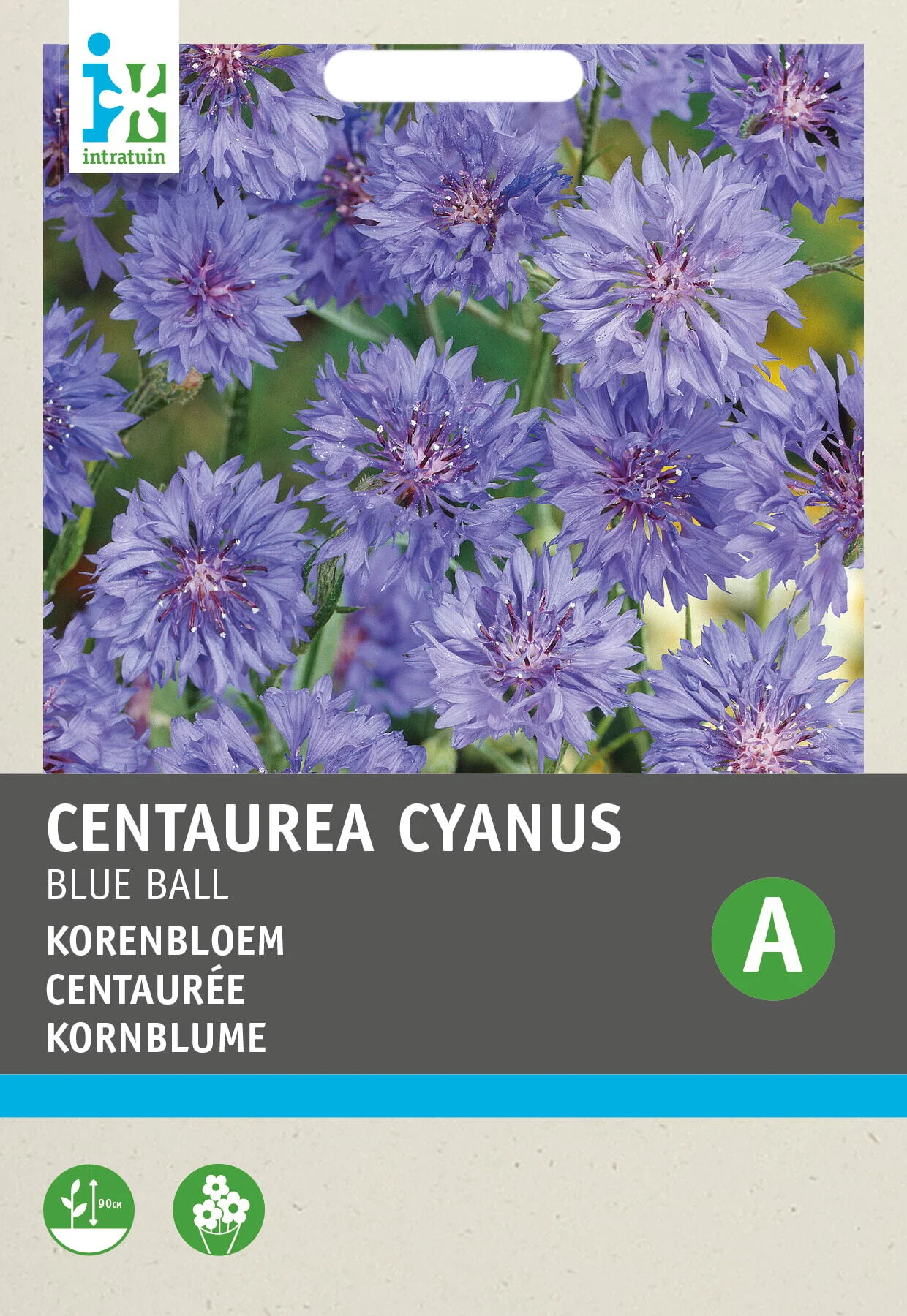 Intratuin bloemenzaad Korenbloem dubbel (Centaurea cyanus 'Blue ball')