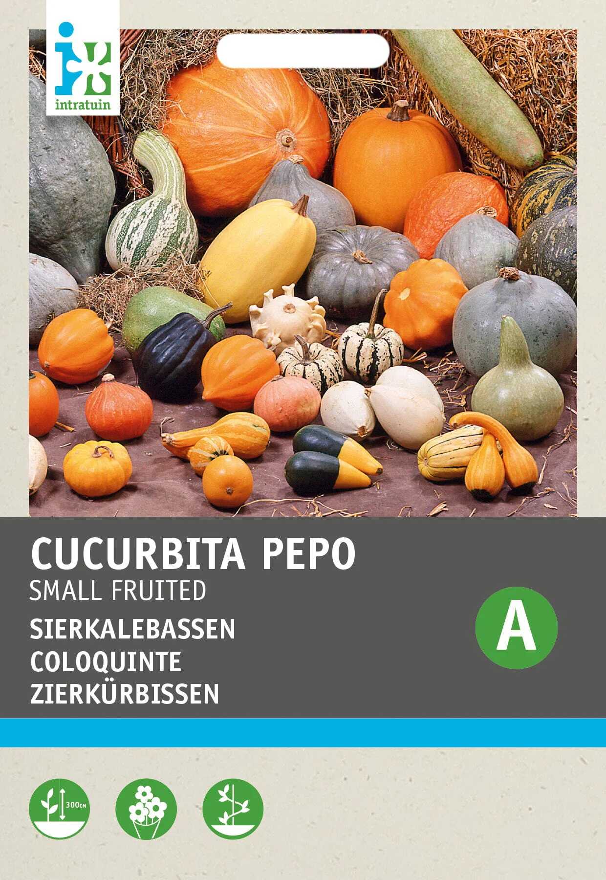 Intratuin groentezaad Sierkalebas kleinvruchtige gemengd (Cucurbita pepo)